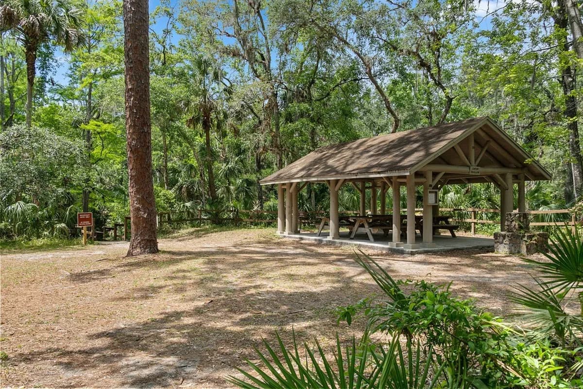 Chapel Manor I photo 9
