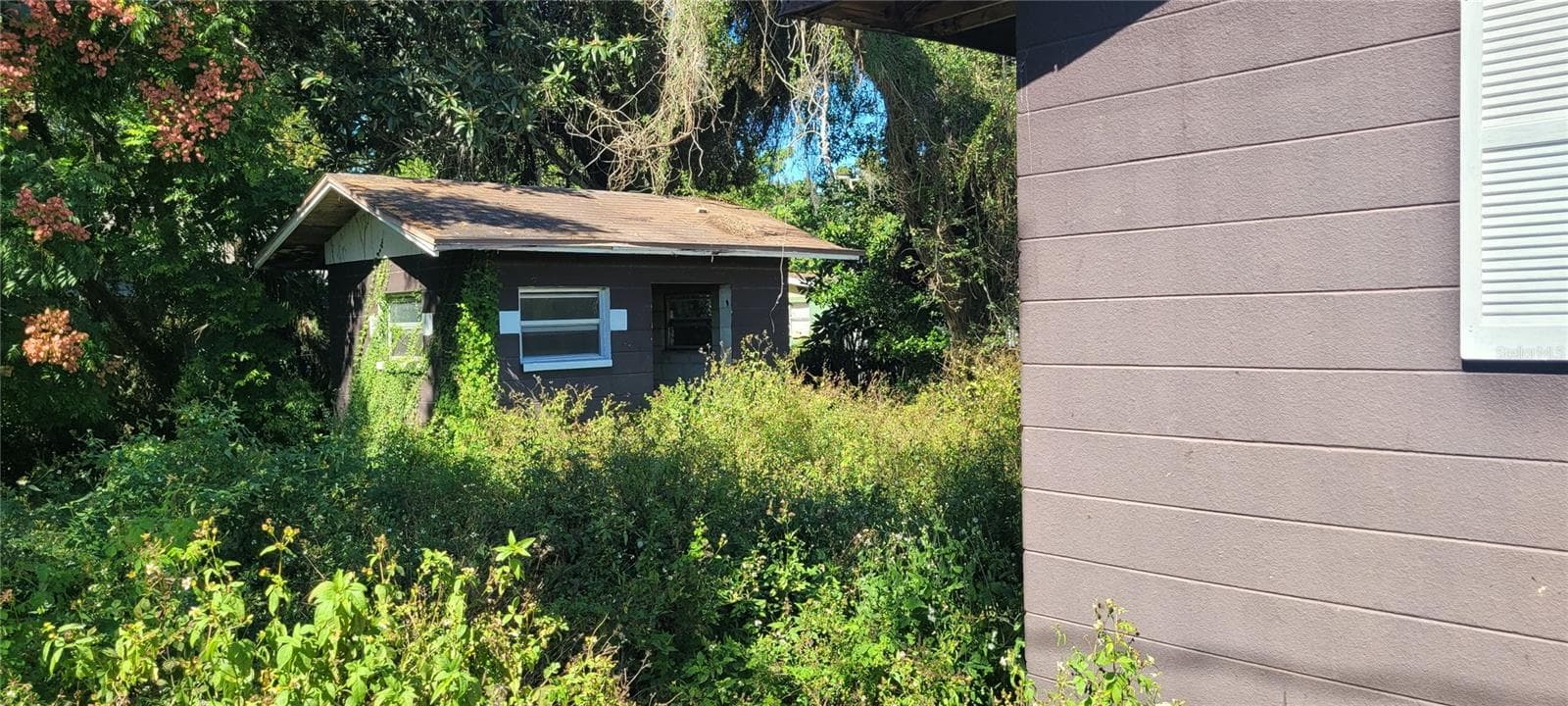5451 Lily Rd photo 4