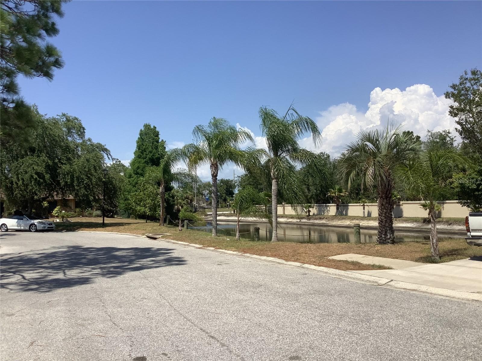 18657 White Pine Cir photo 3
