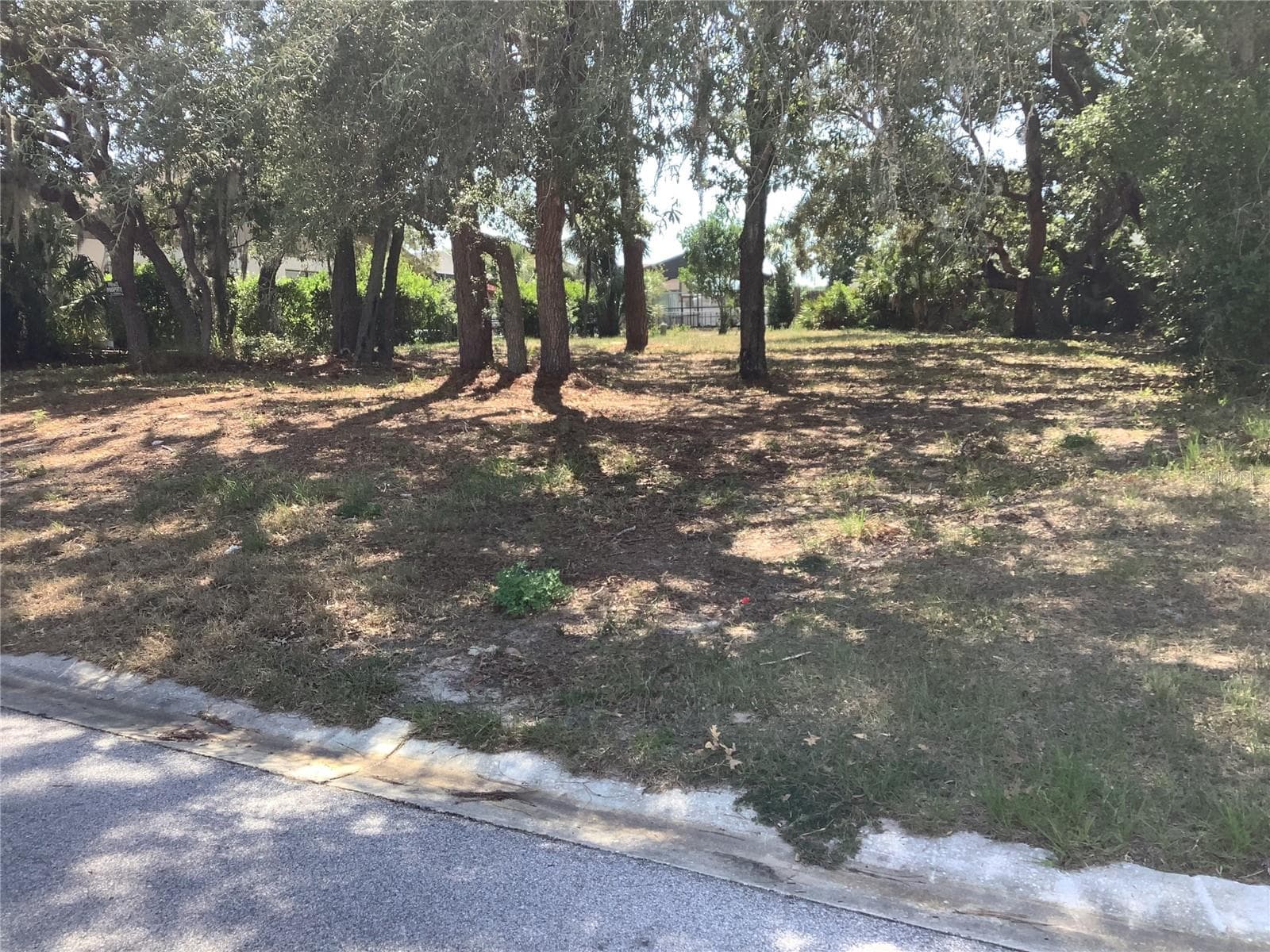 18657 White Pine Cir photo 4