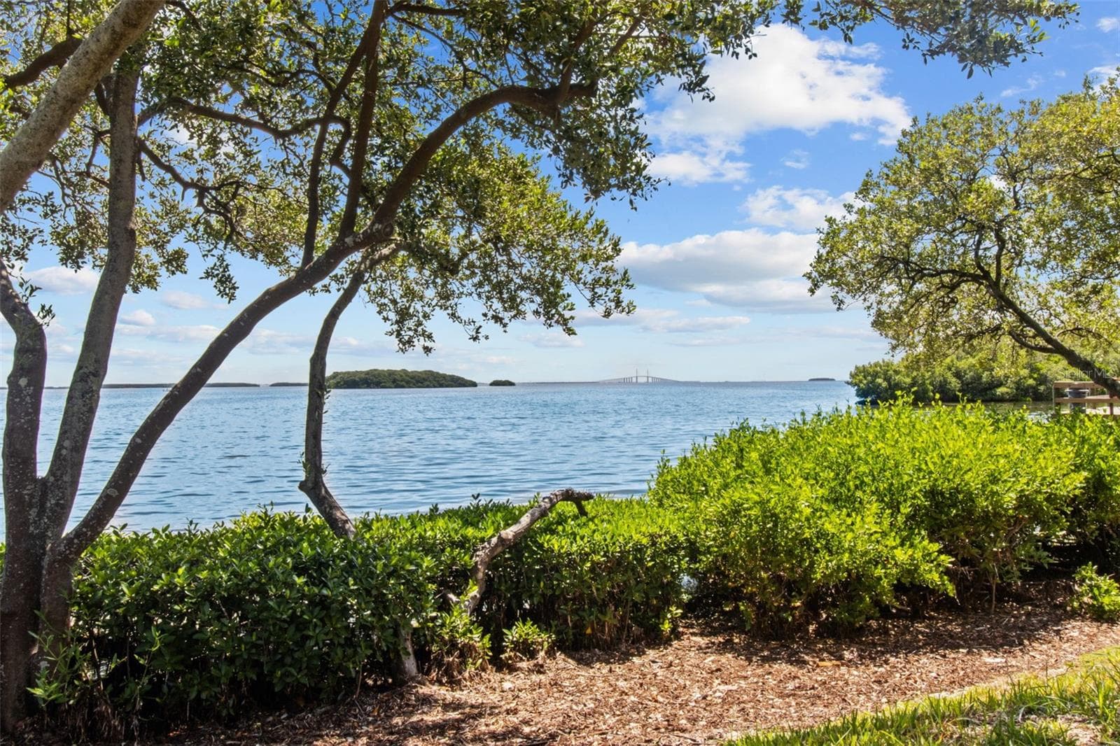 1515 Pinellas Bayway S #65 photo 3