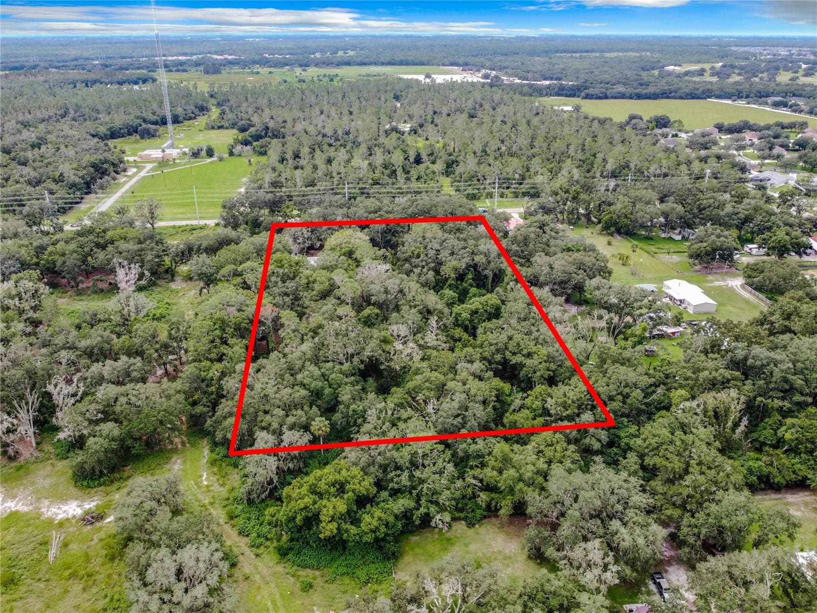 16206 Boyette Rd photo 3