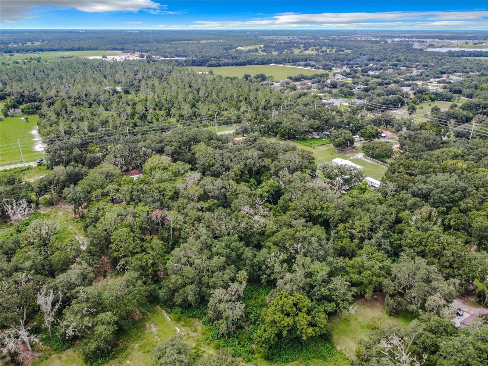 16206 Boyette Rd photo 4