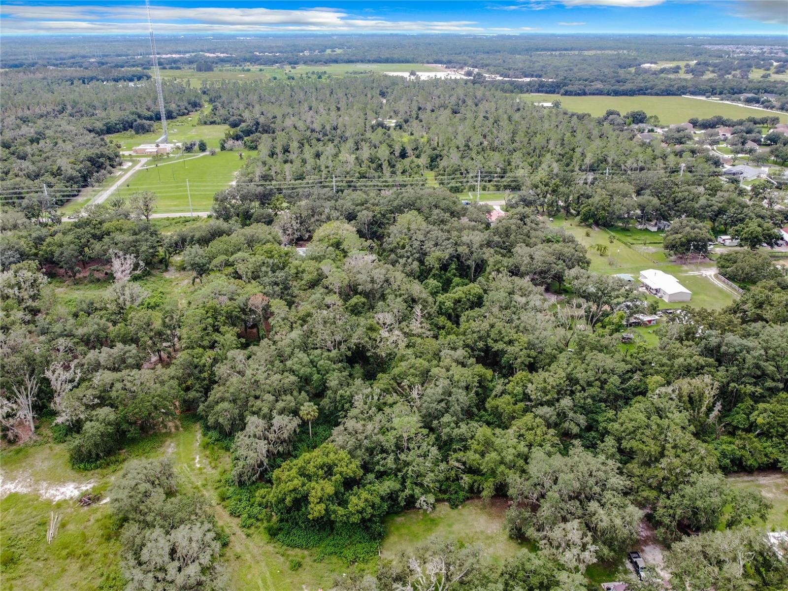 16206 Boyette Rd photo 5