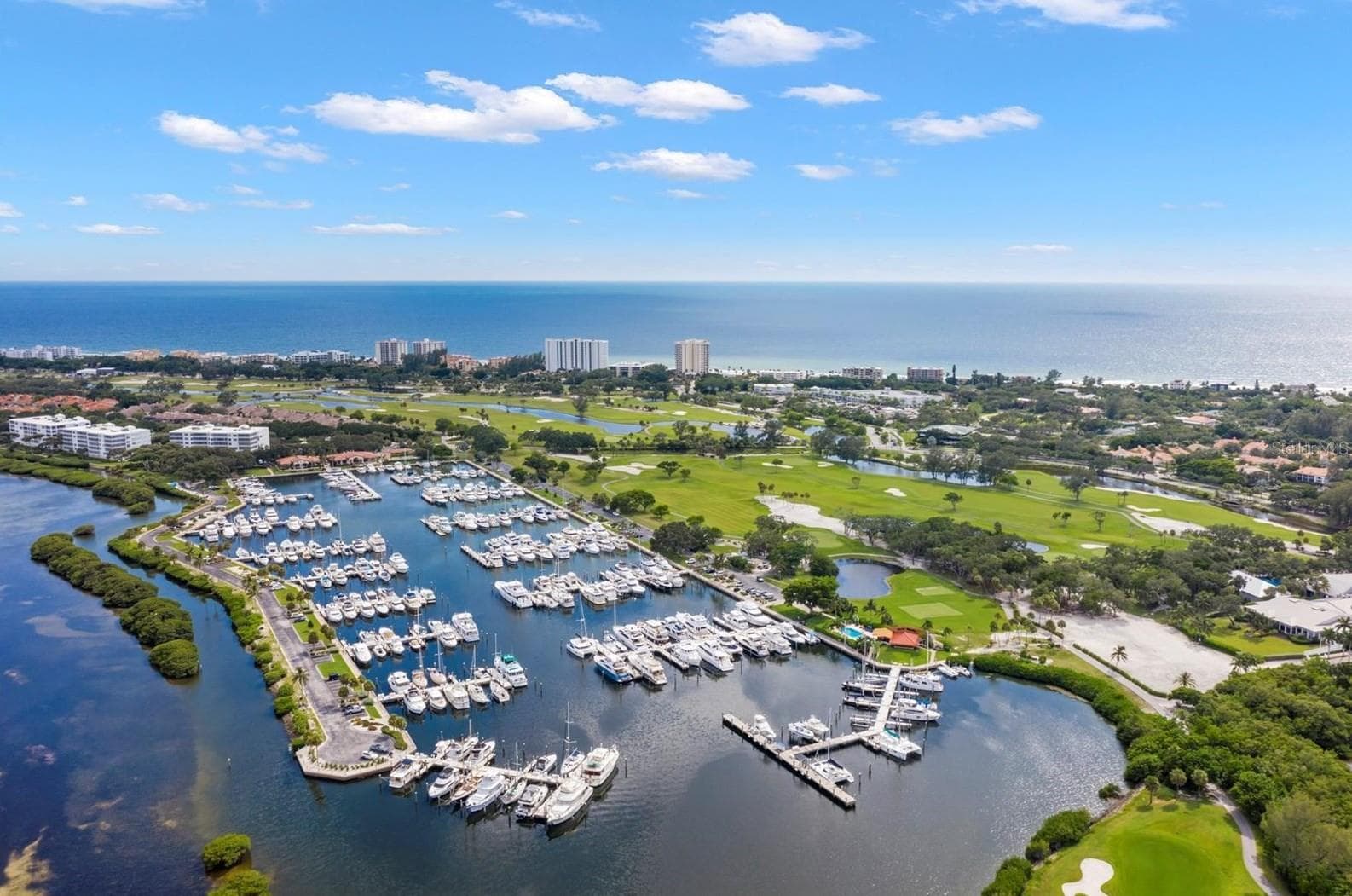 2800 Harbourside Drive #M-03 photo 4