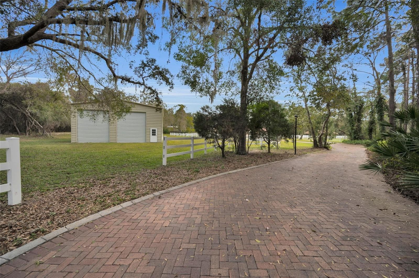 249 Dogwood Trce photo 4