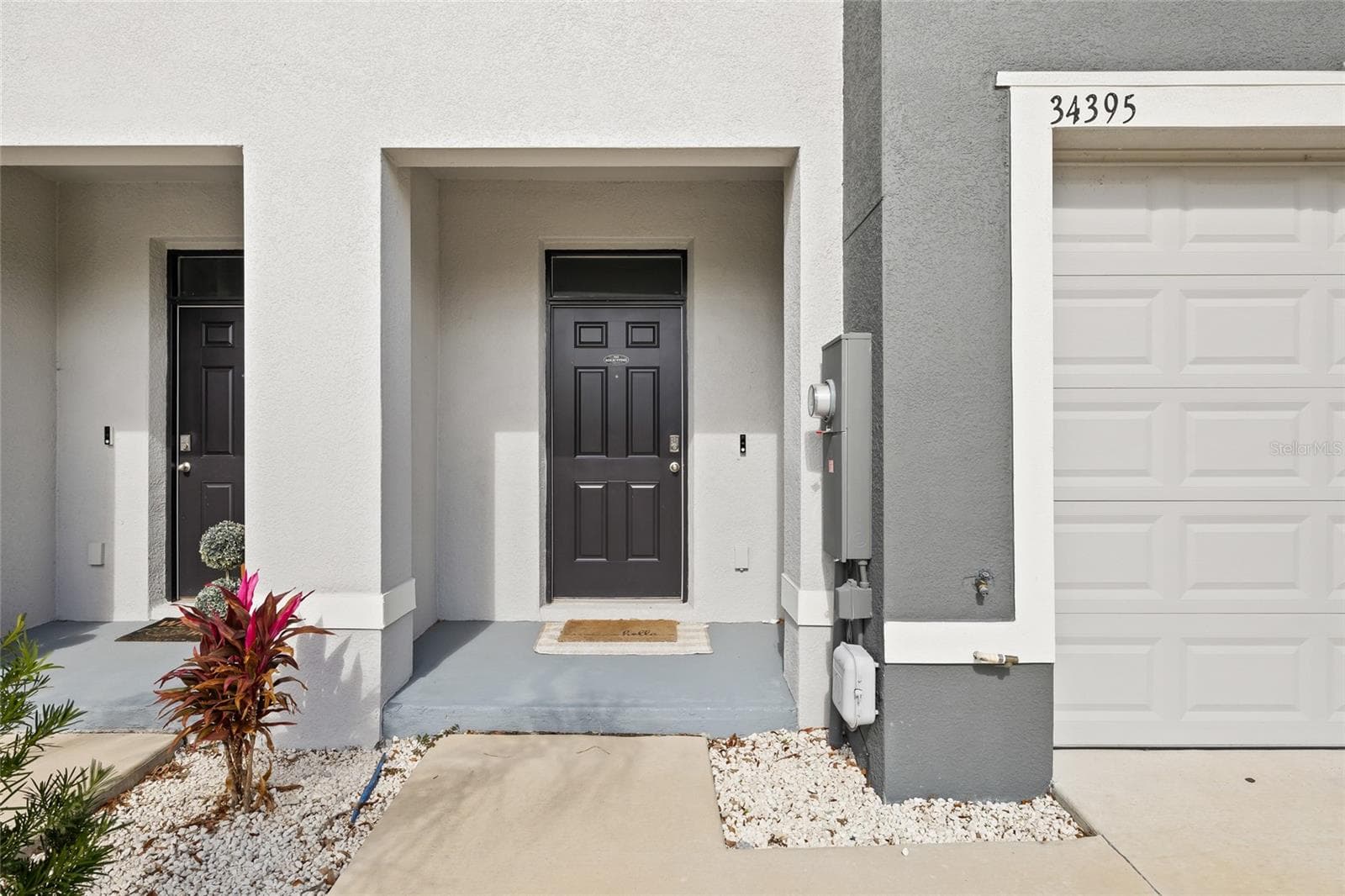 34395 Sorrel Mint Dr photo 5
