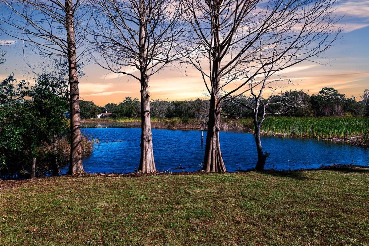 11416 Pine Forest Dr