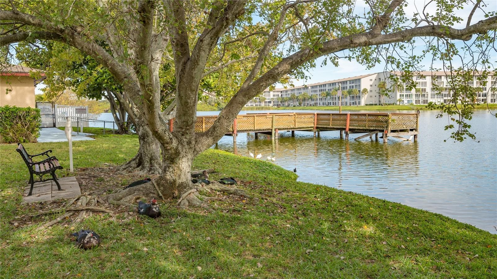3845 Lake Bayshore Dr #F103