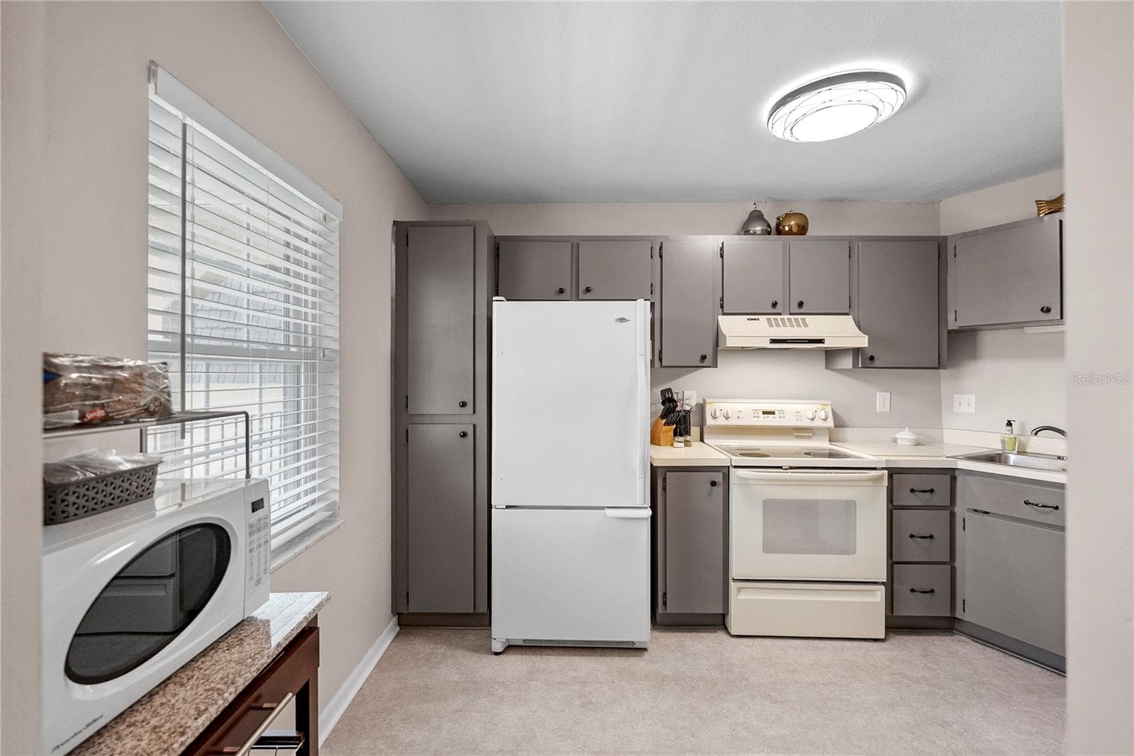 8703 Bardmoor Blvd #305 photo 4