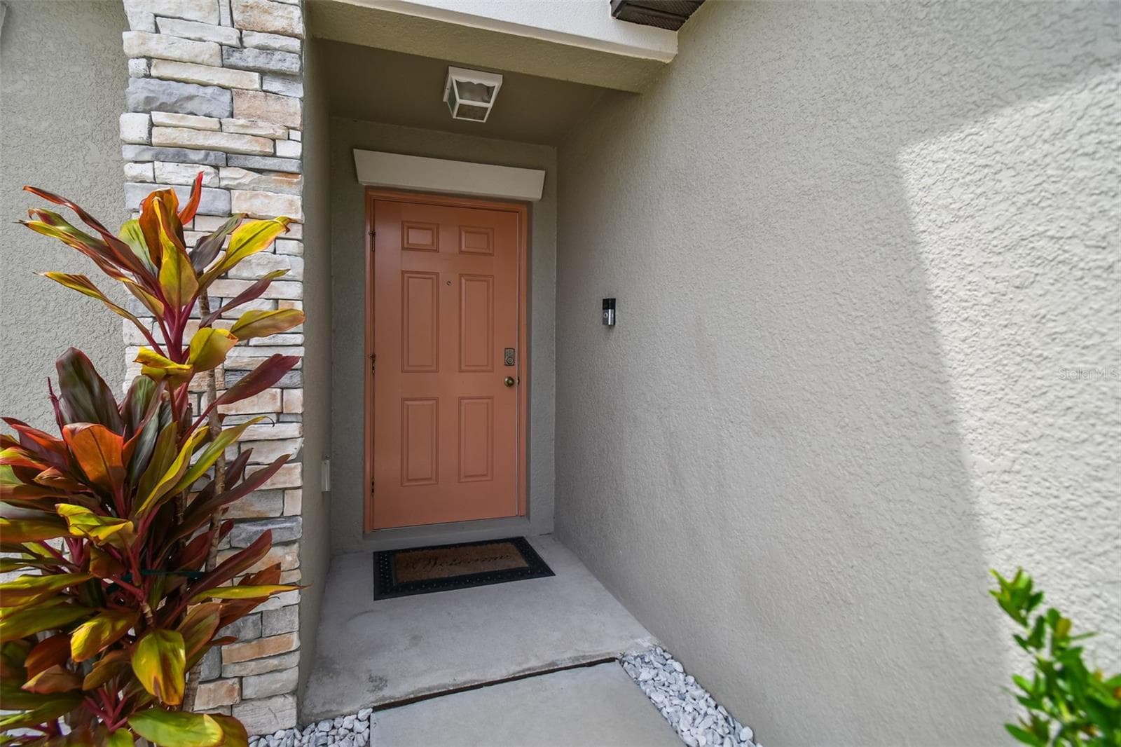 13603 Wild Ginger St photo 3