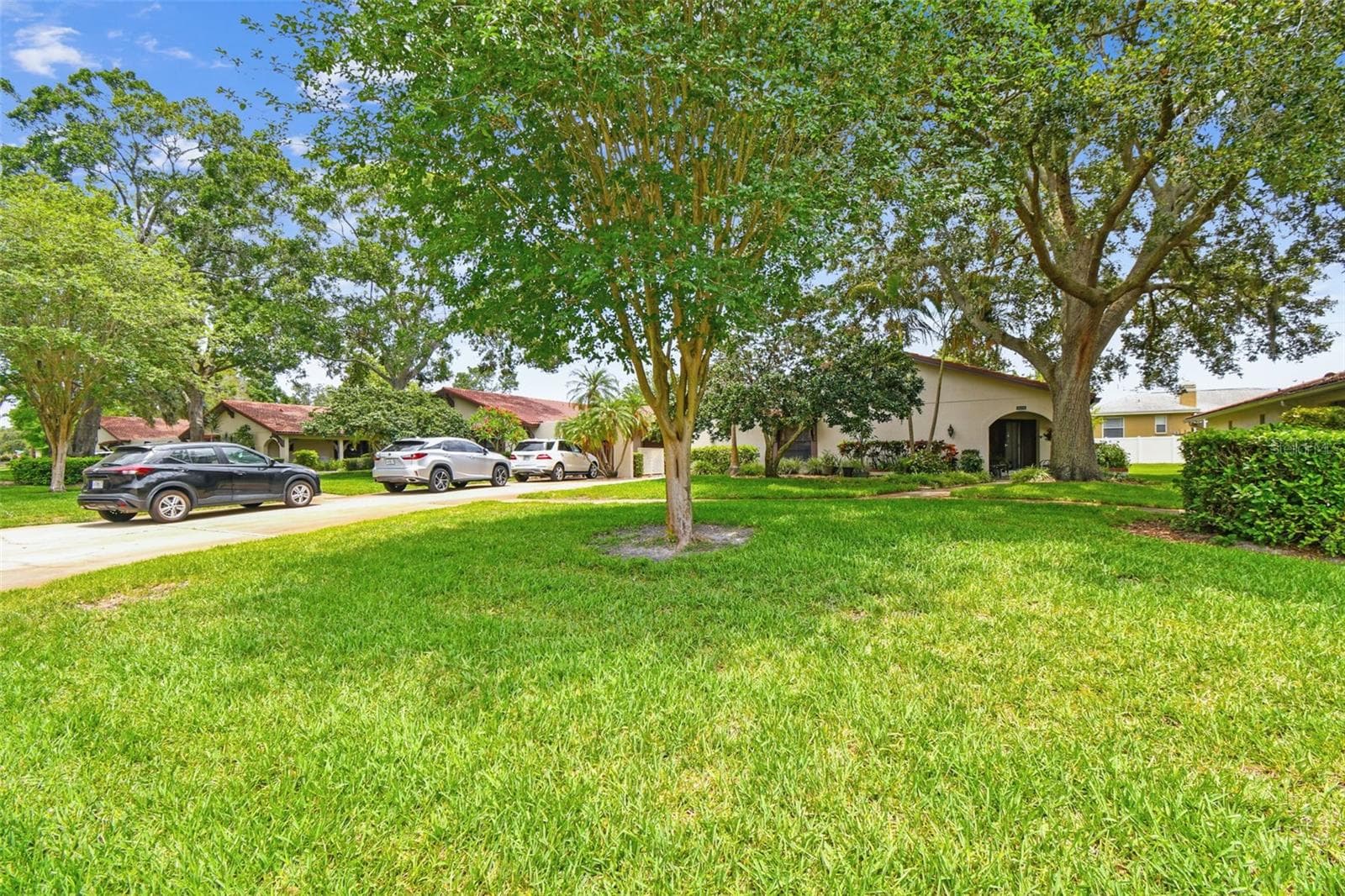 3476 Tarpon Woods Blvd