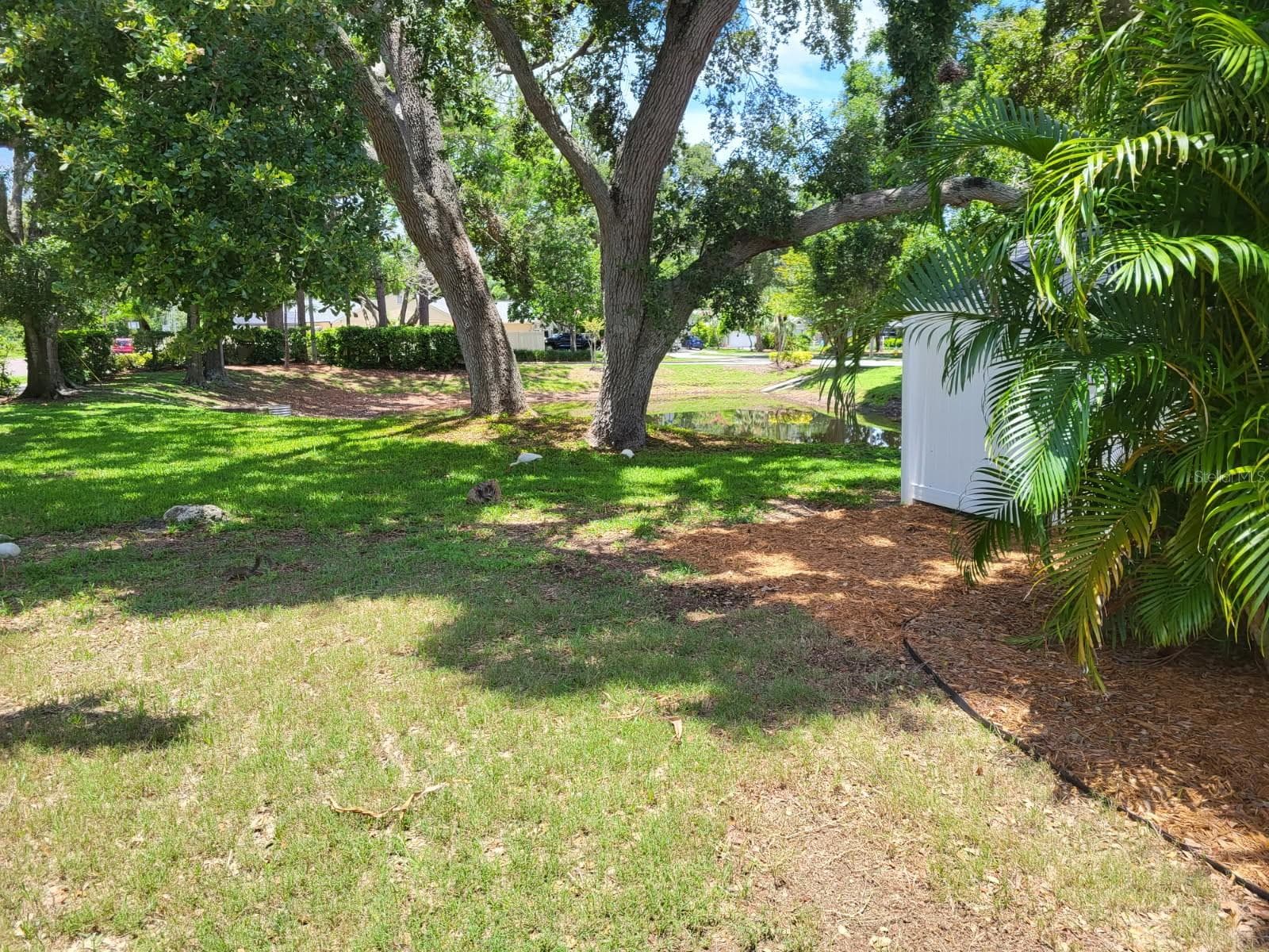2820 Whitney Rd photo 3
