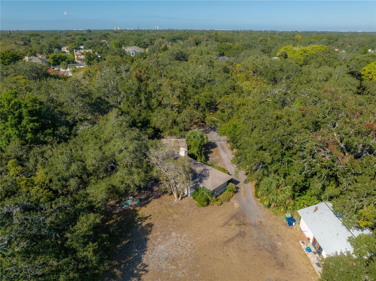 6210 Bayshore Blvd photo 5