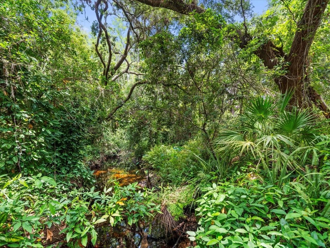 16035 Chastain Rd