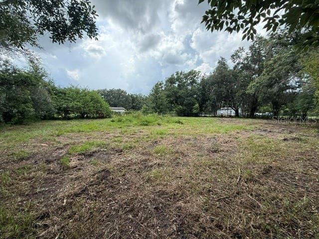 3011 S Wiggins Rd photo 4