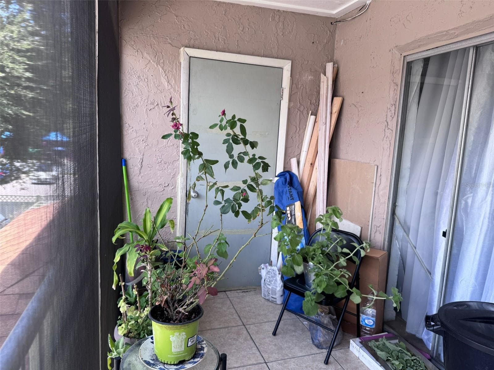 7210 N Manhattan Ave #2423 photo 3
