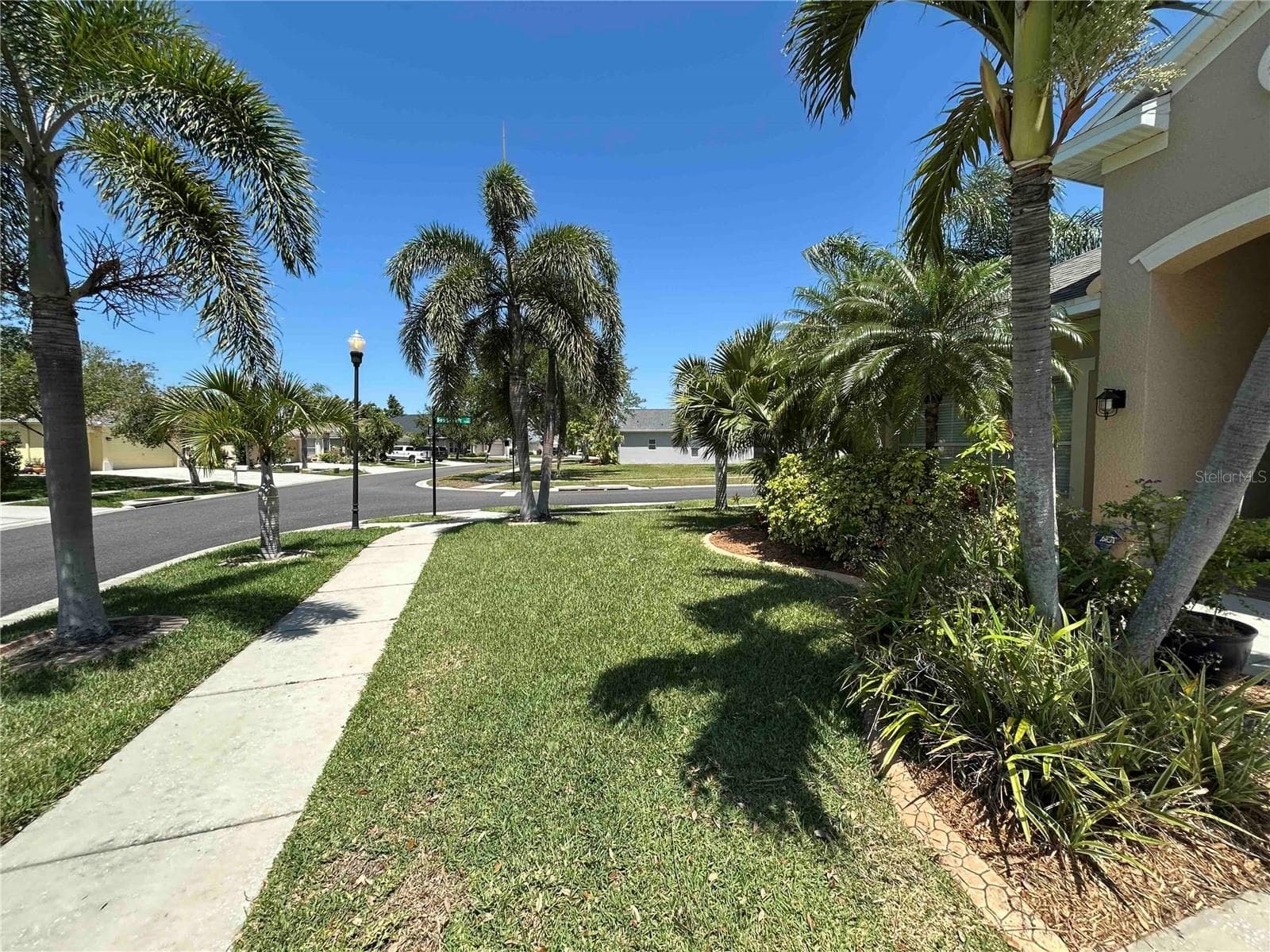 443 York Dale Dr photo 3