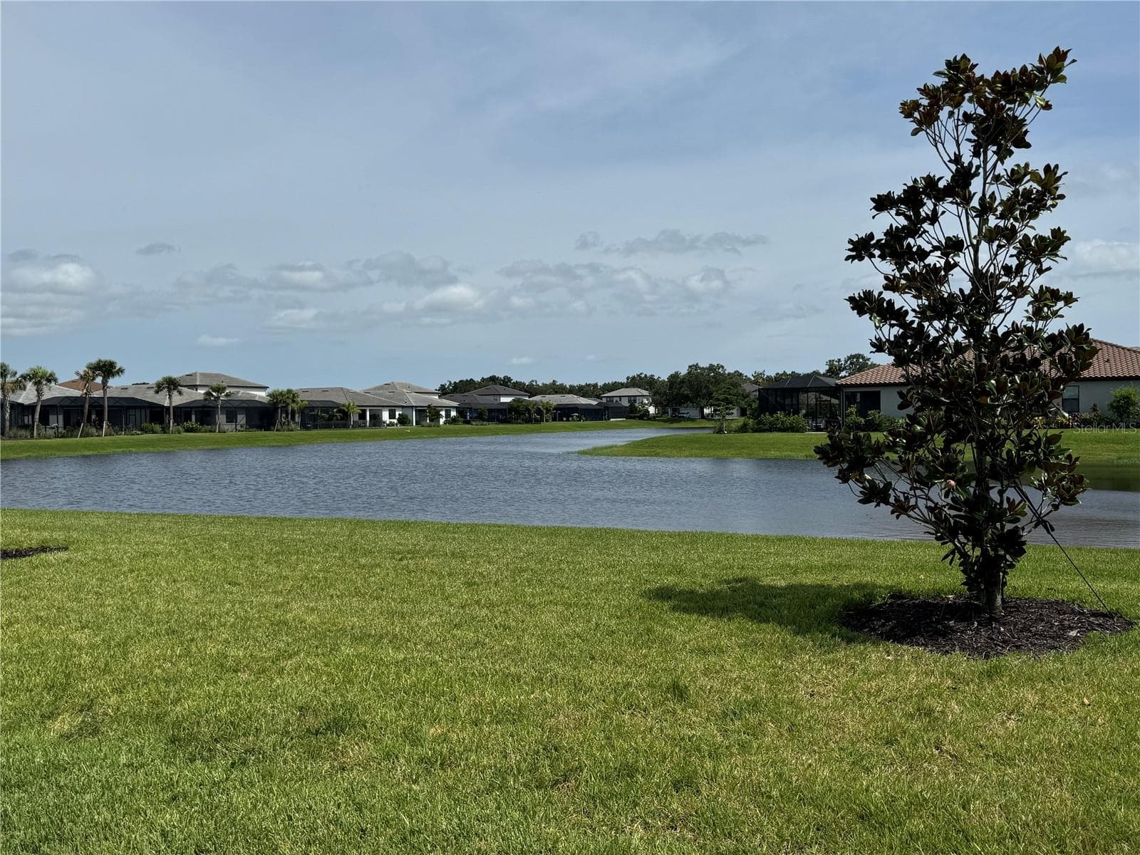 12307 Wigeon Dr photo 5