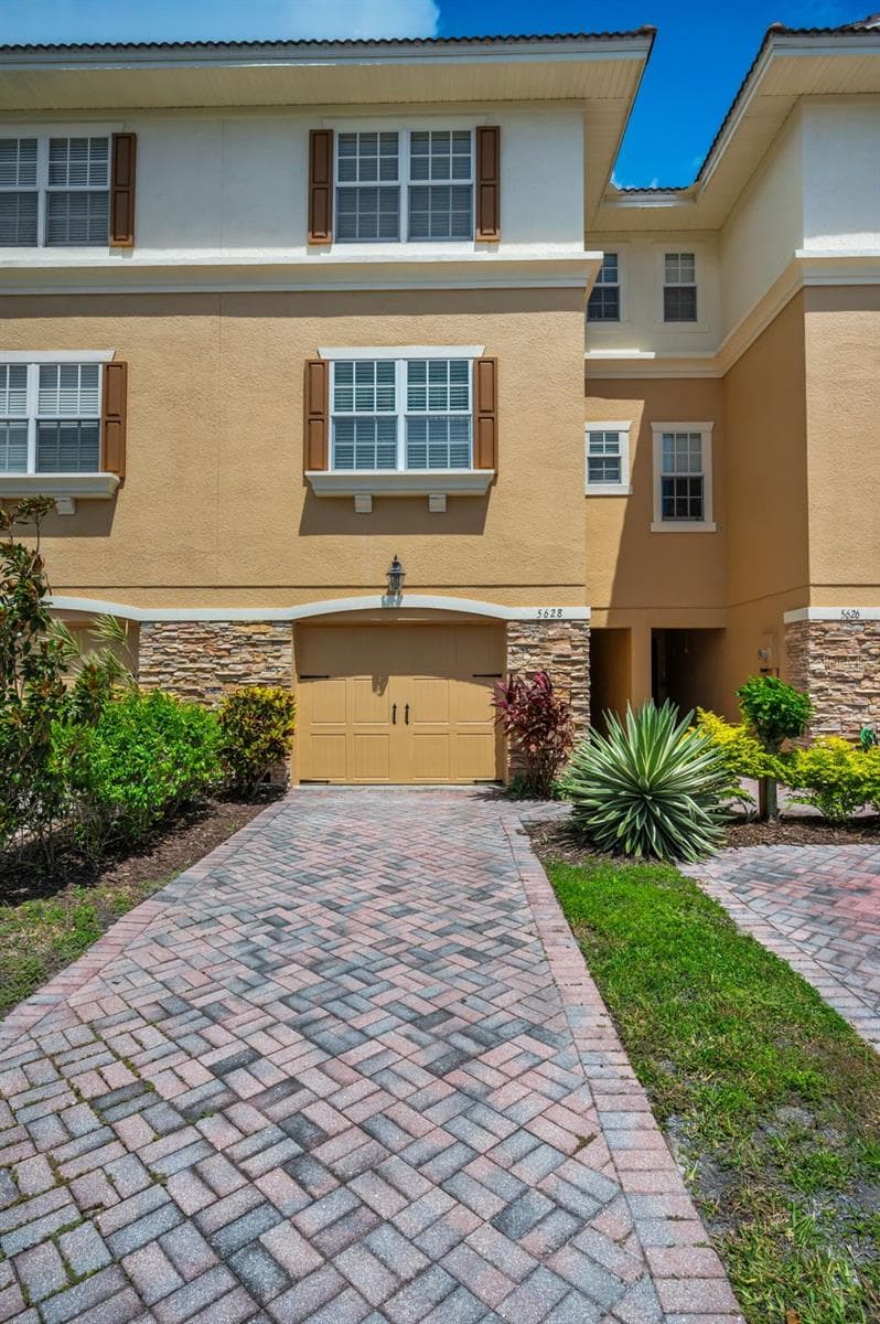5628 Sea Turtle CT