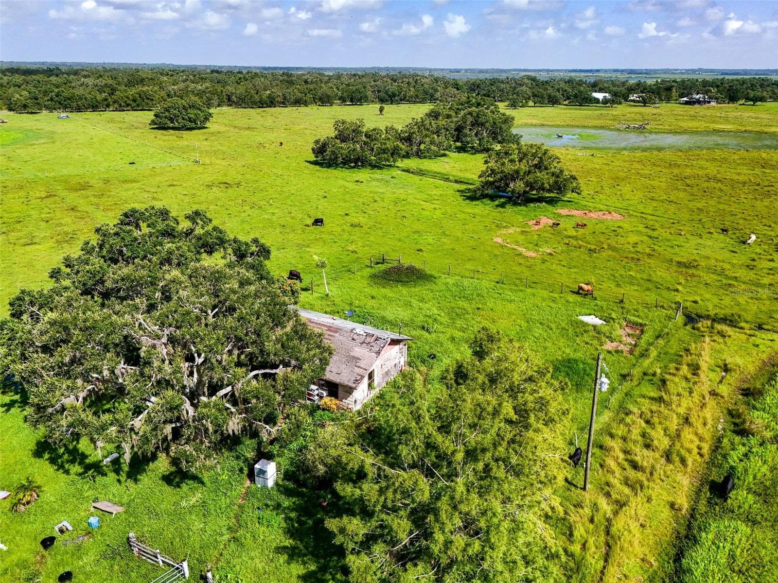 12950 River Rd photo 3