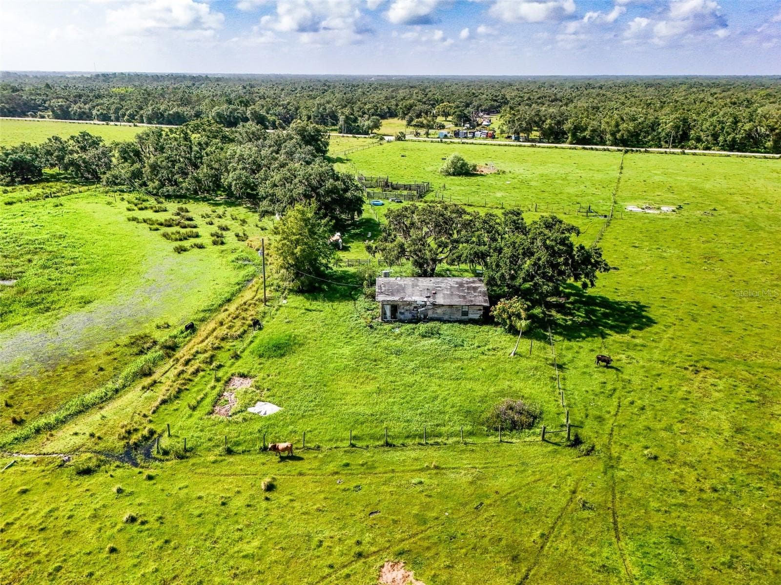 12950 River Rd photo 4