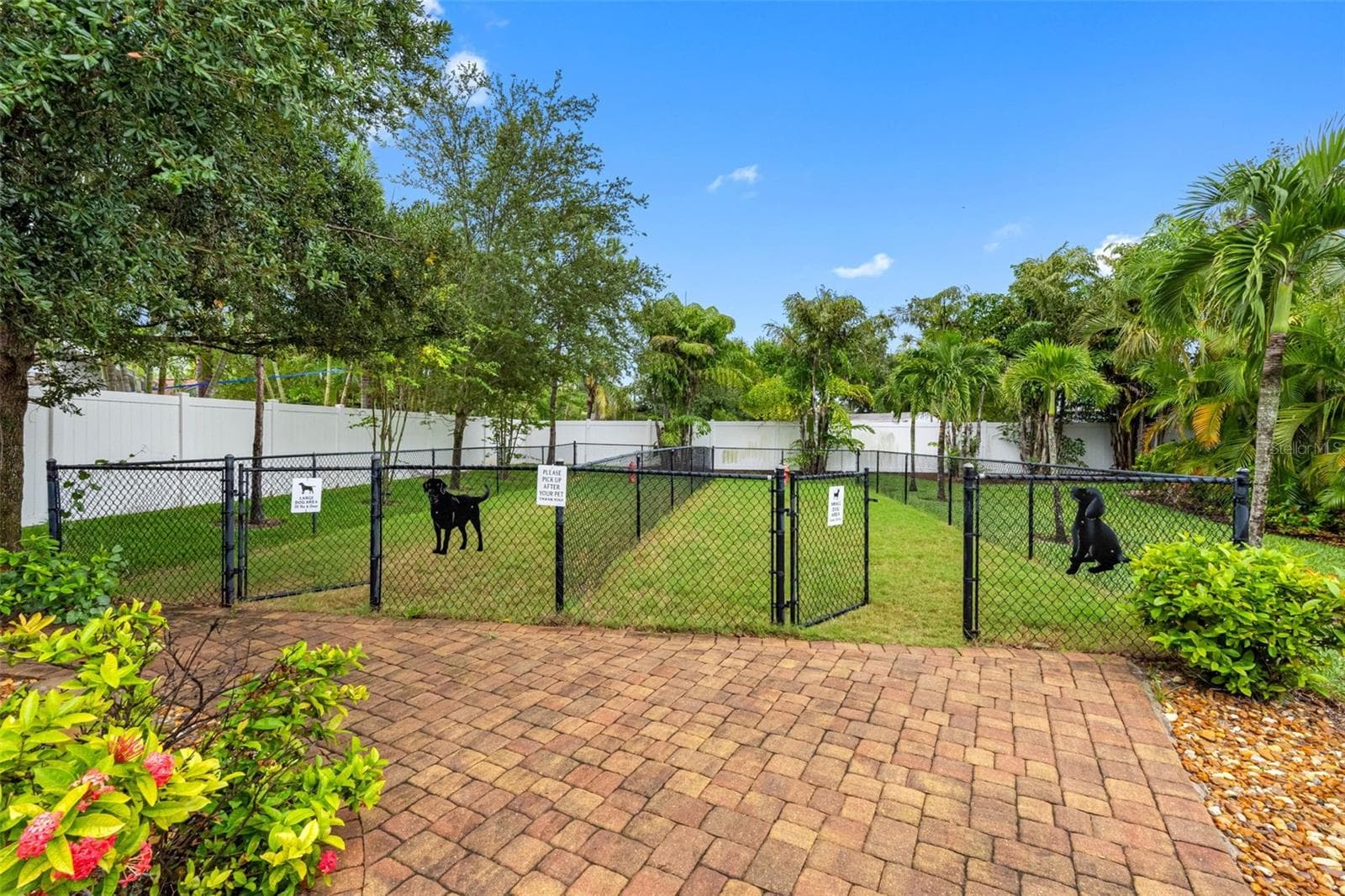 763 Date Palm Ln photo 4