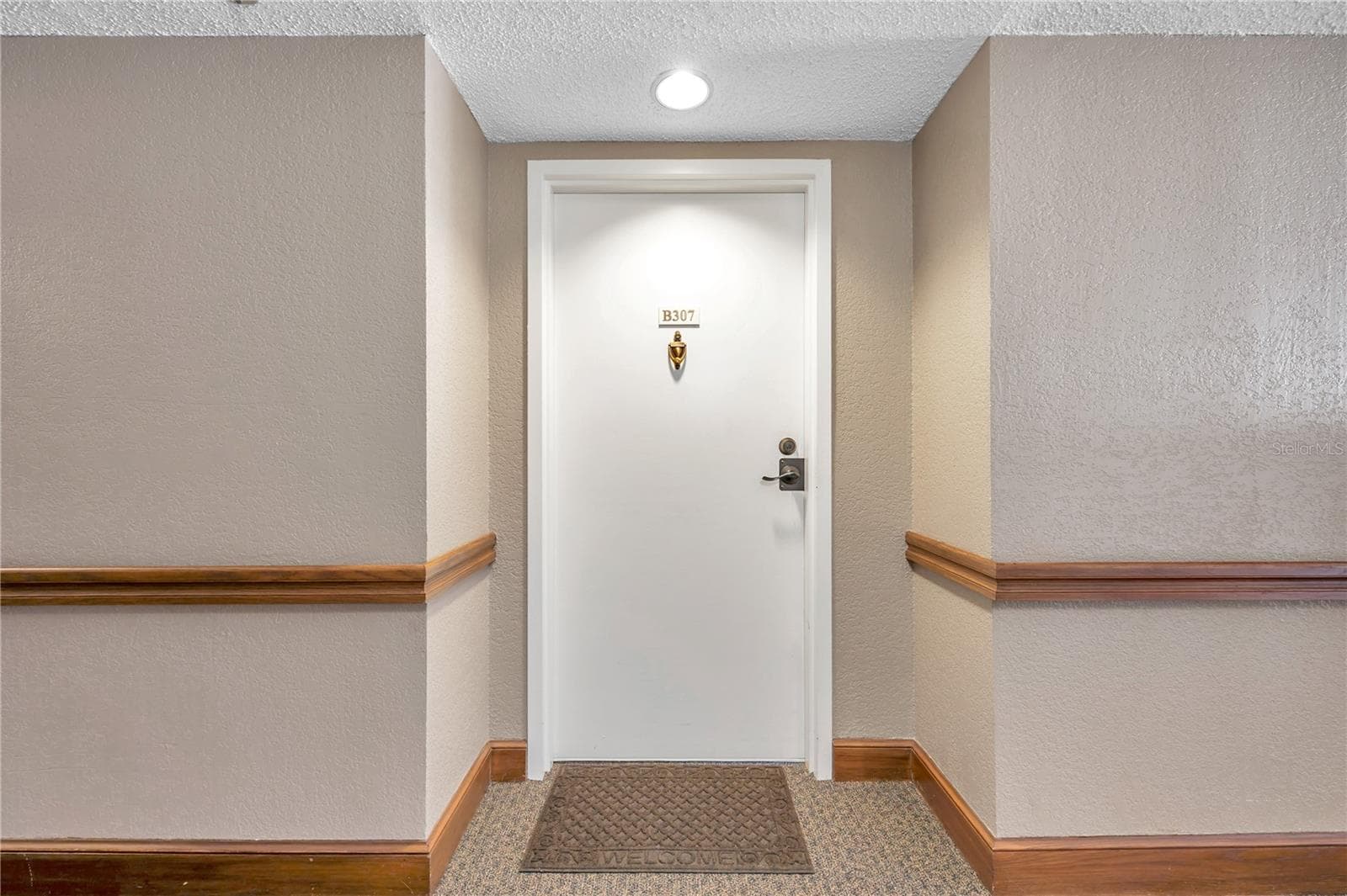 2333 Feather Sound Dr #B307 photo 5