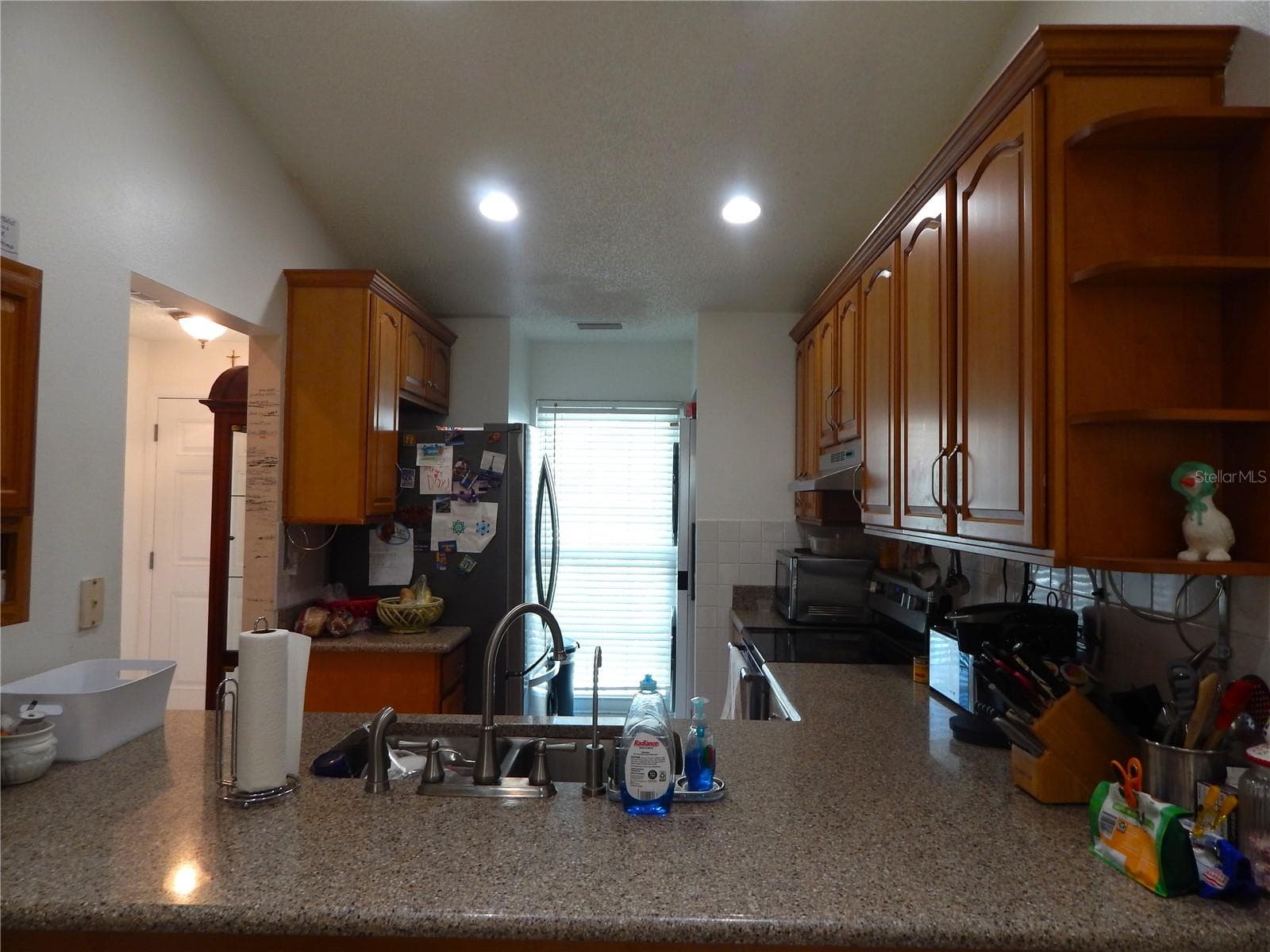 16221 Rambling Vine Dr W photo 5