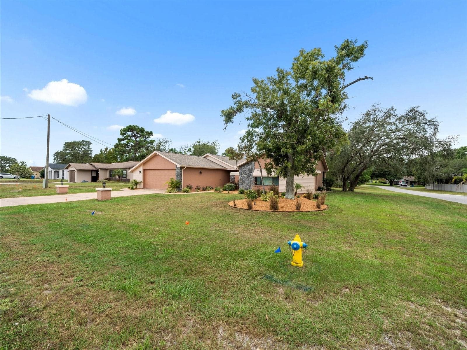 2097 Whitewood Ave photo 3