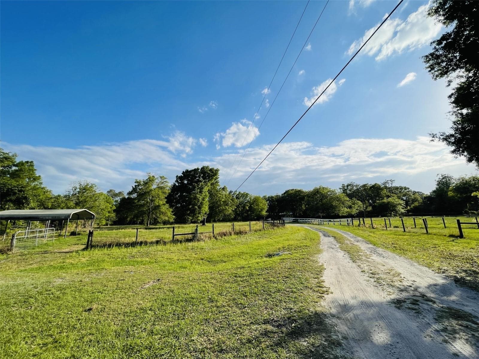 6810 Pearson Ln photo 5
