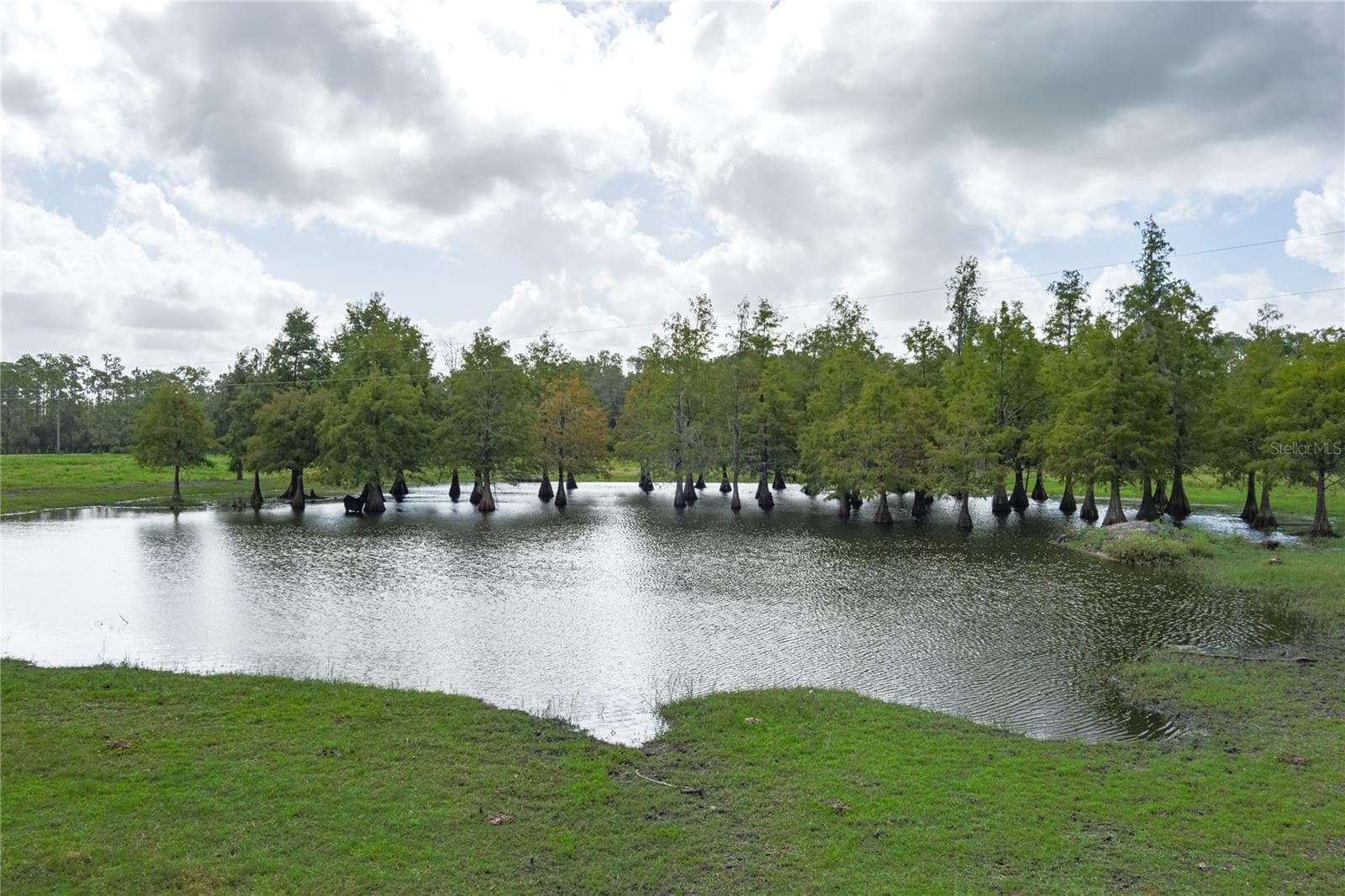 1126 County Road 665 photo 3