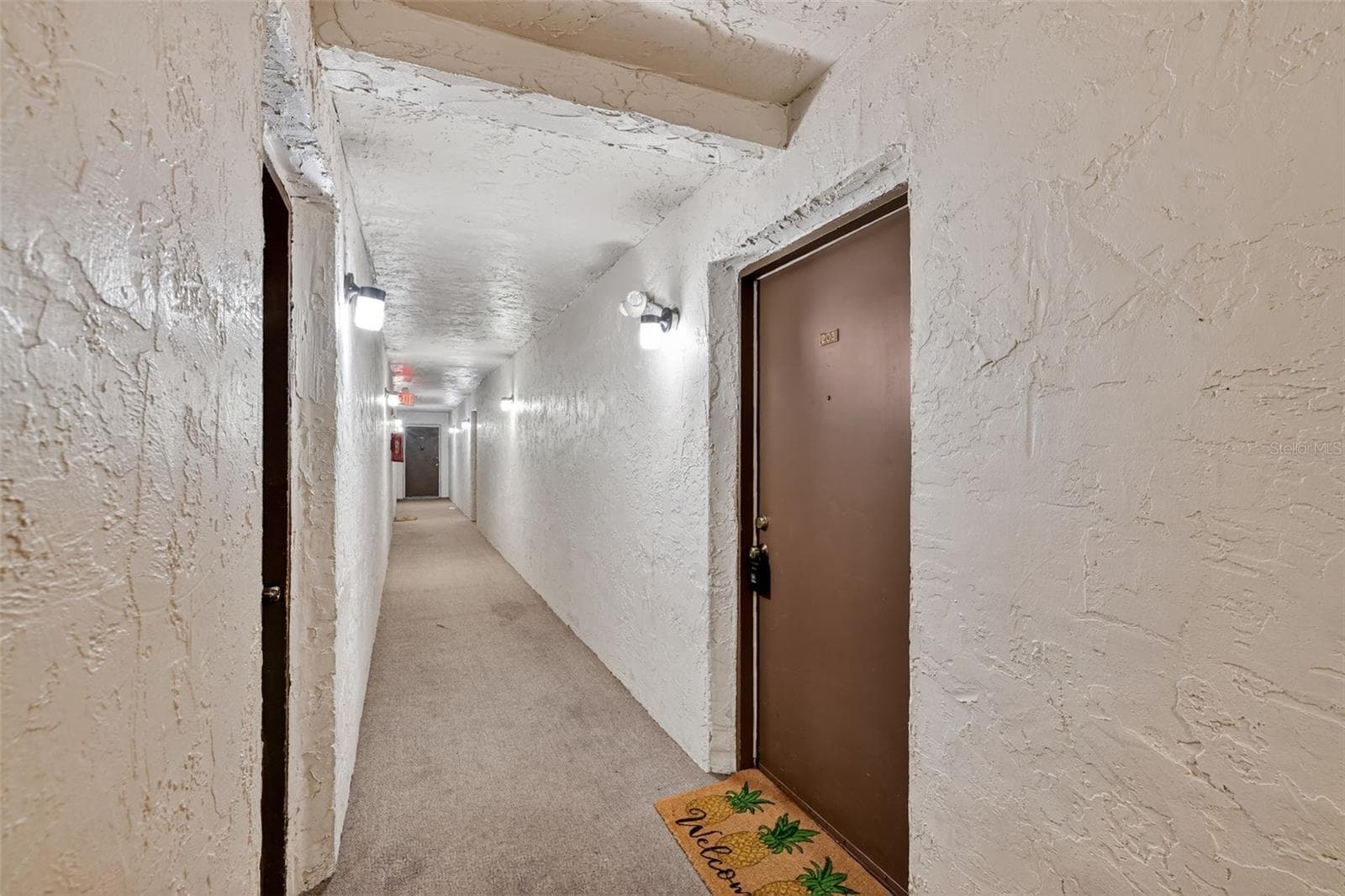 5541 Bay Blvd #203 photo 3