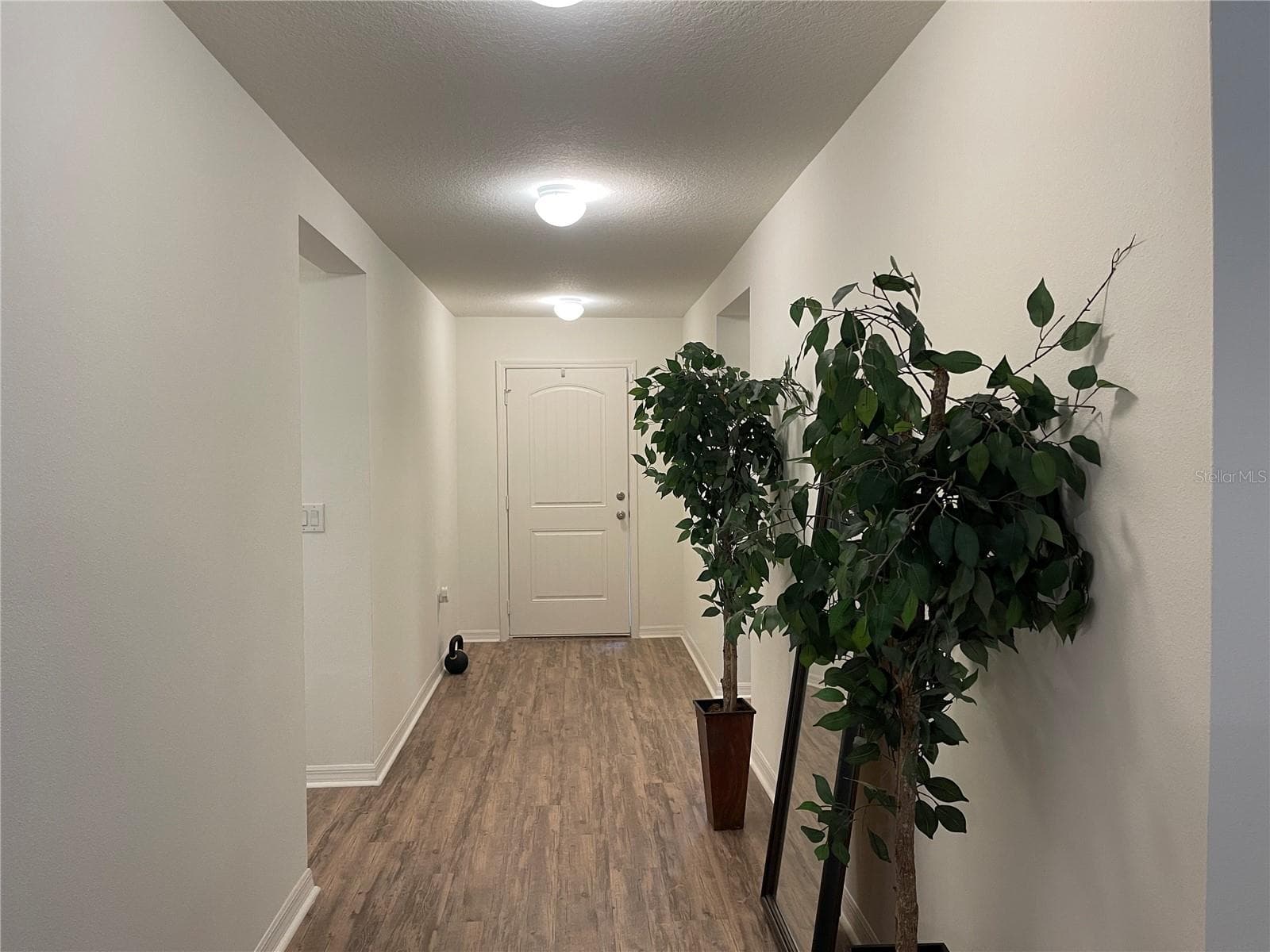 7115 Cruz CT photo 3