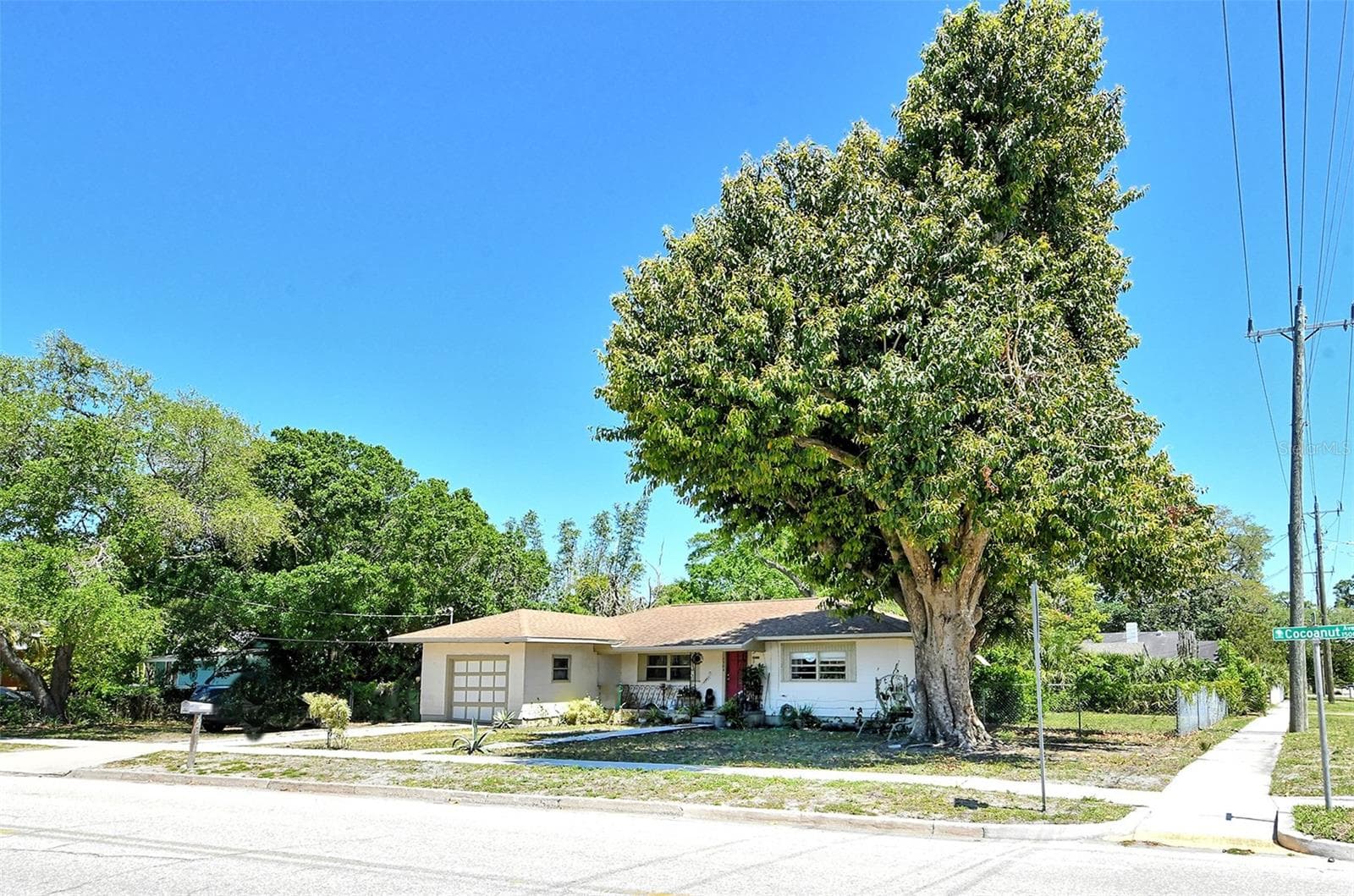 1504 Cocoanut Ave photo 4