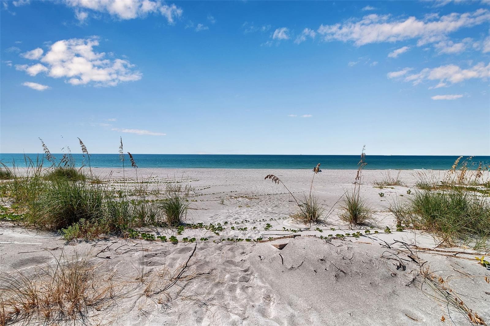 2819 Gulf Of Mexico Dr photo 4