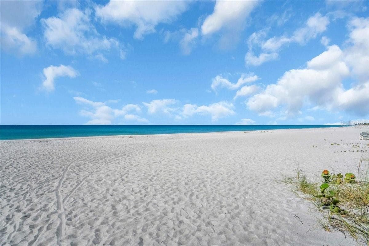 5841 Gulf Of Mexico Dr #244 photo 3