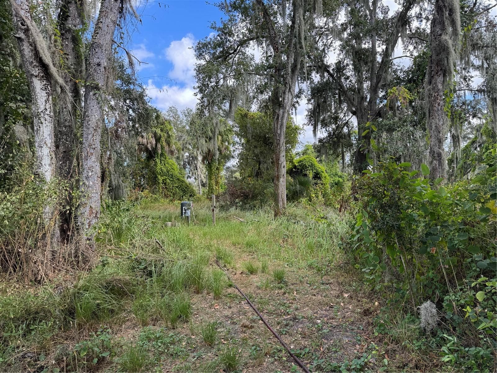 3721 Porter Rd photo 3