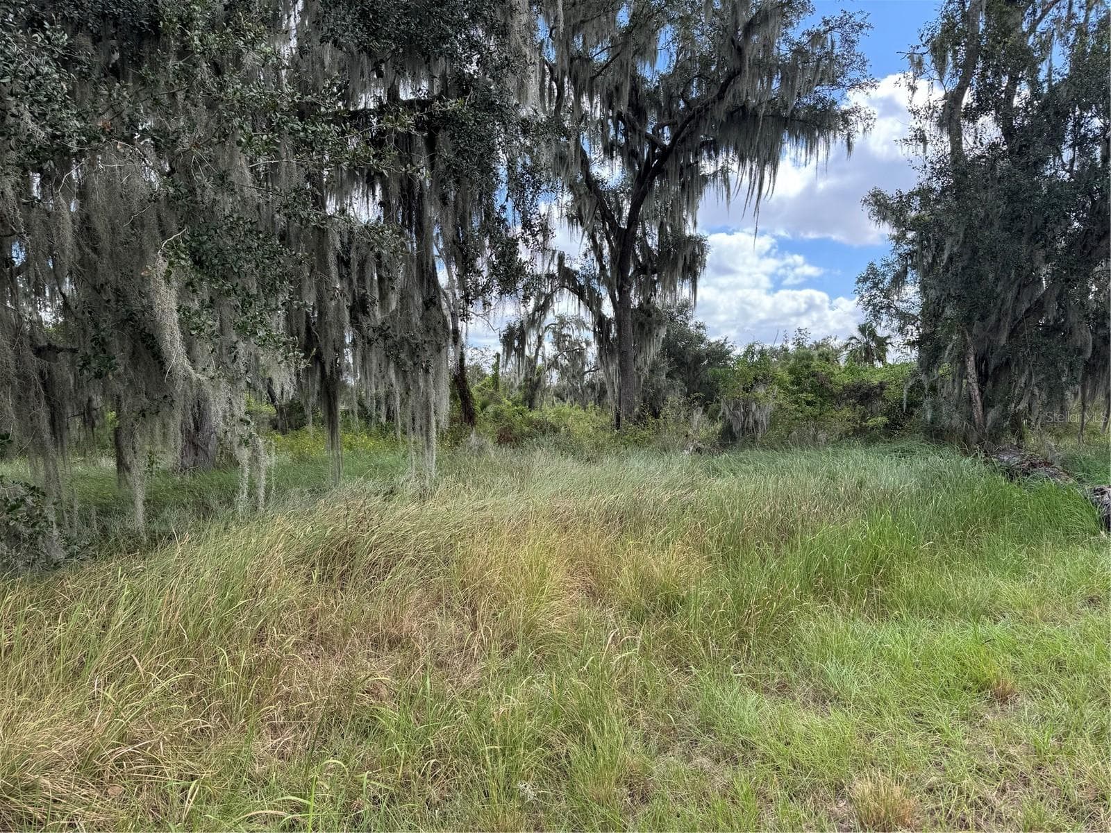 3721 Porter Rd photo 4