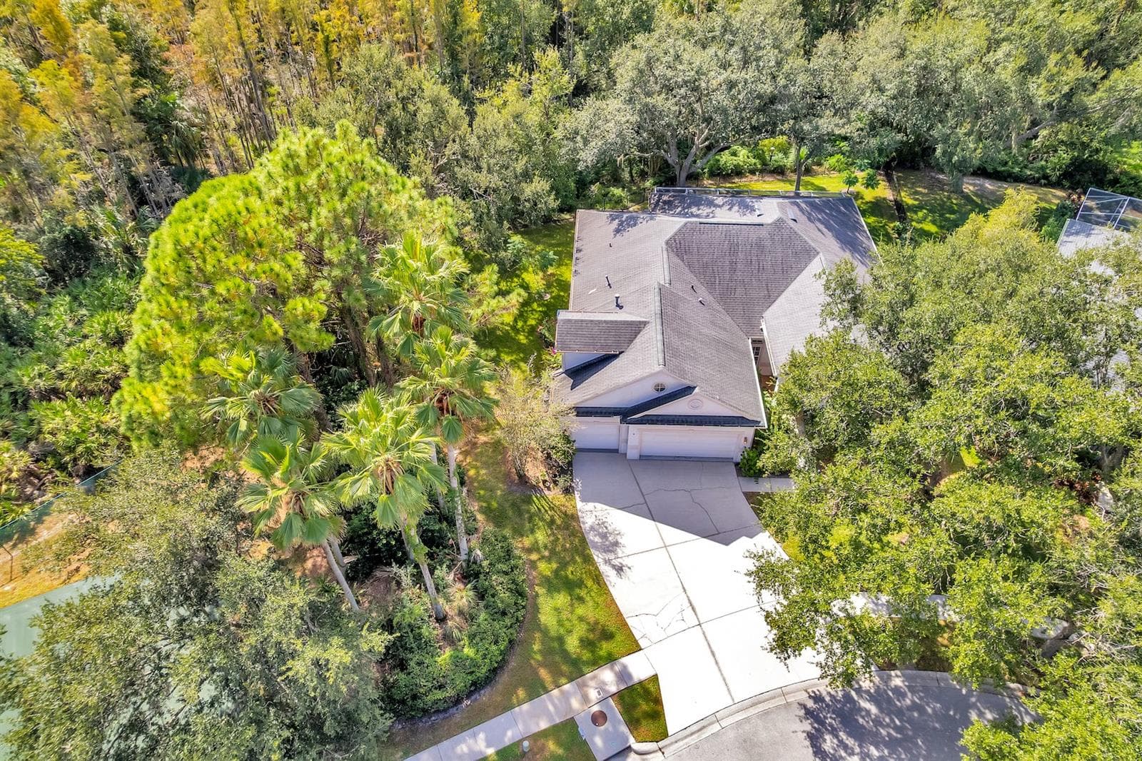10218 Shadow Branch Dr photo 4