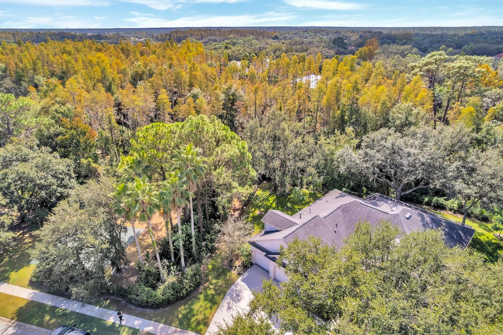 10218 Shadow Branch Dr photo 5