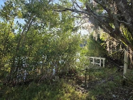 18909 Aripeka Rd photo 5
