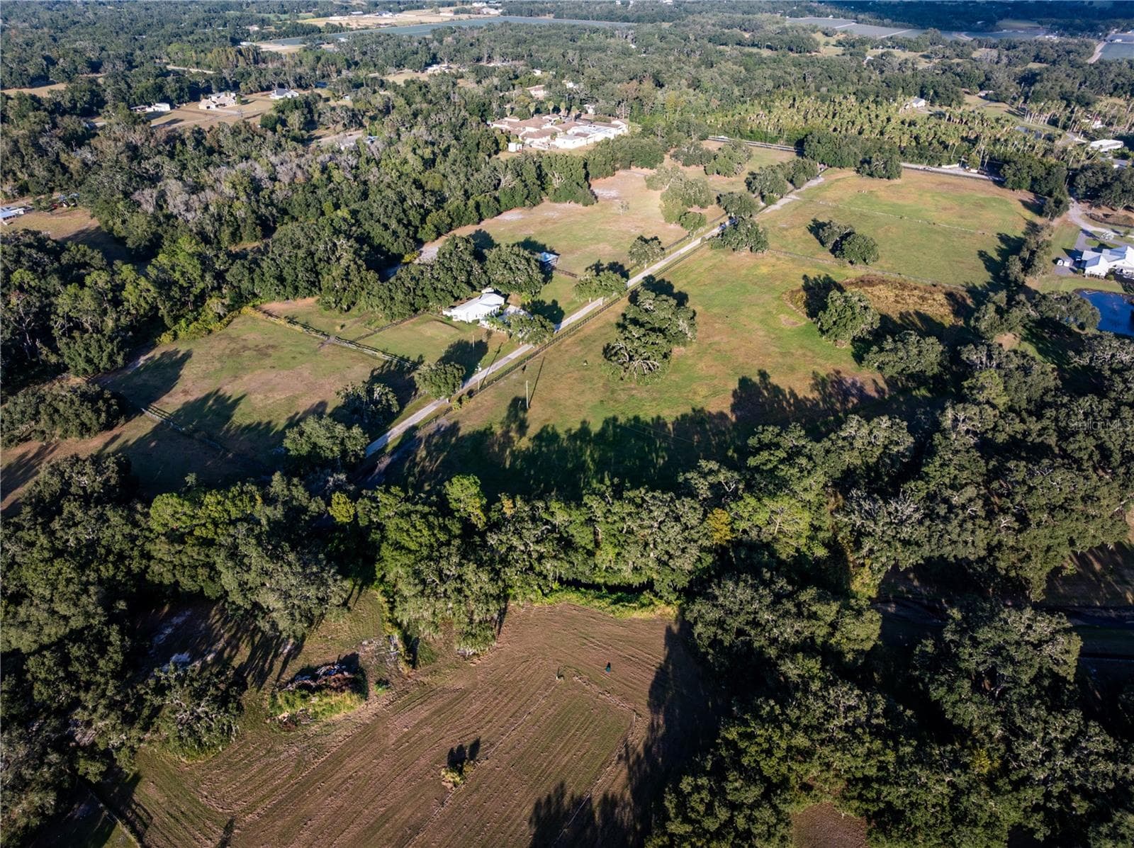 12537 Tomar Dr photo 5