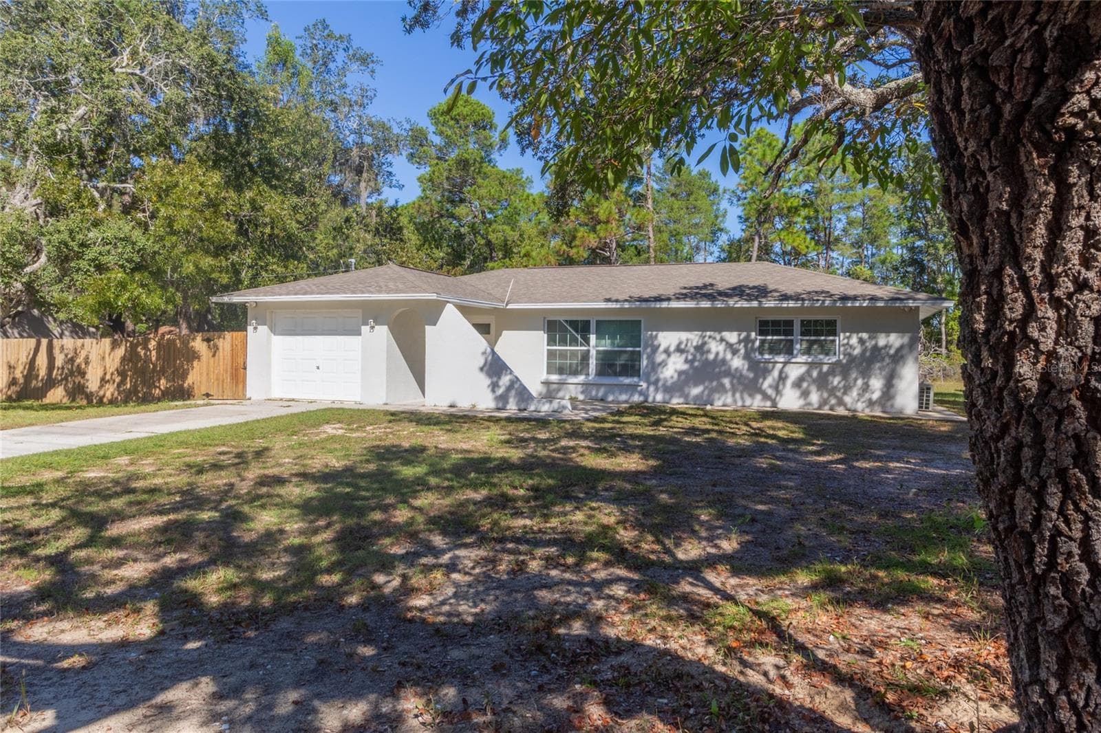 6447 Brandy Dr photo 3