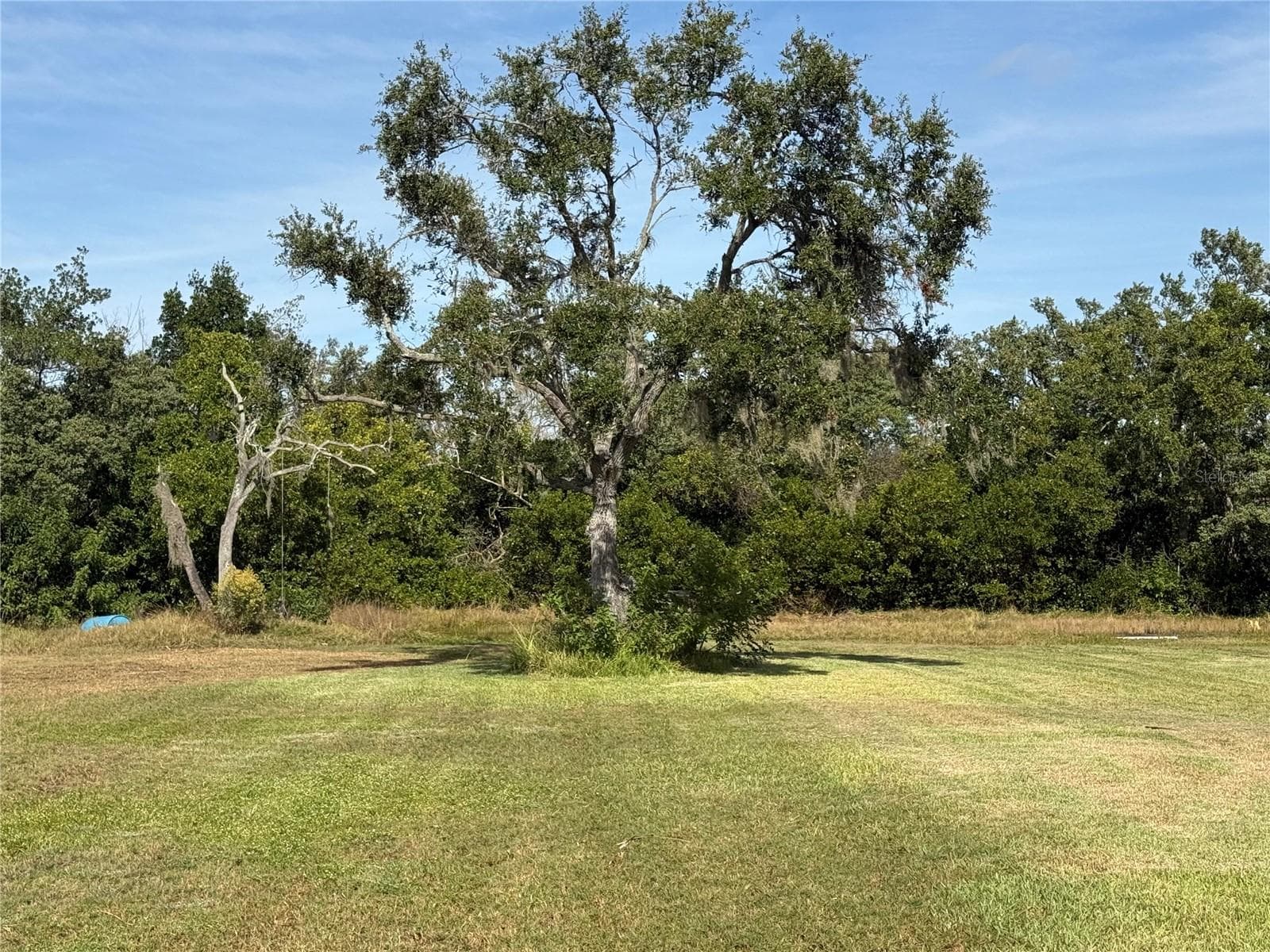 916 Piney Point Rd photo 5