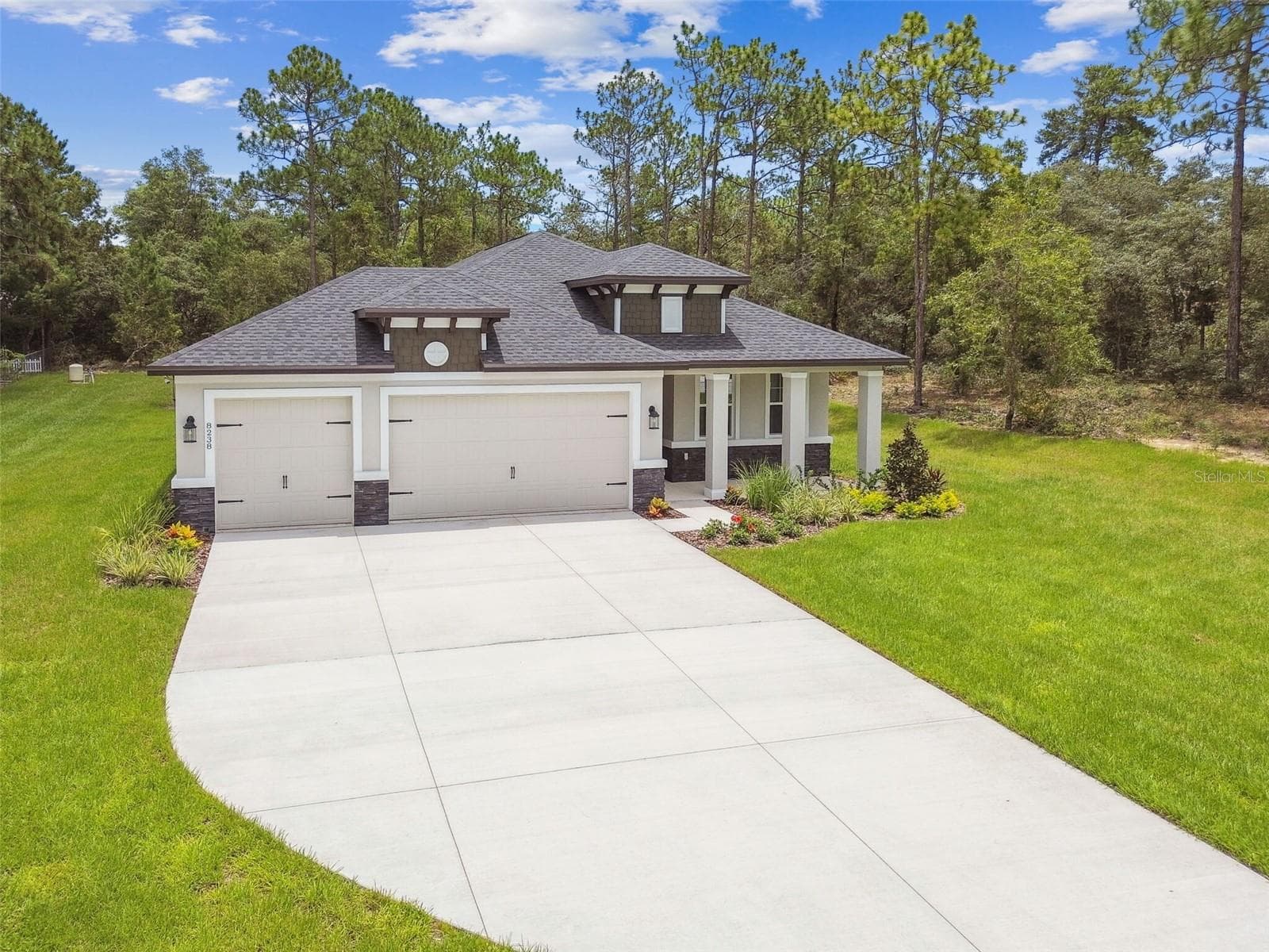 11347 Striped Bass CT