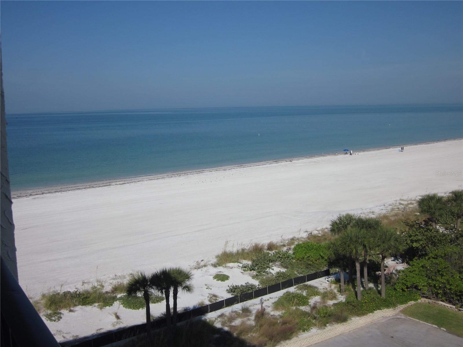 1400 Gulf Blvd #608 photo 4