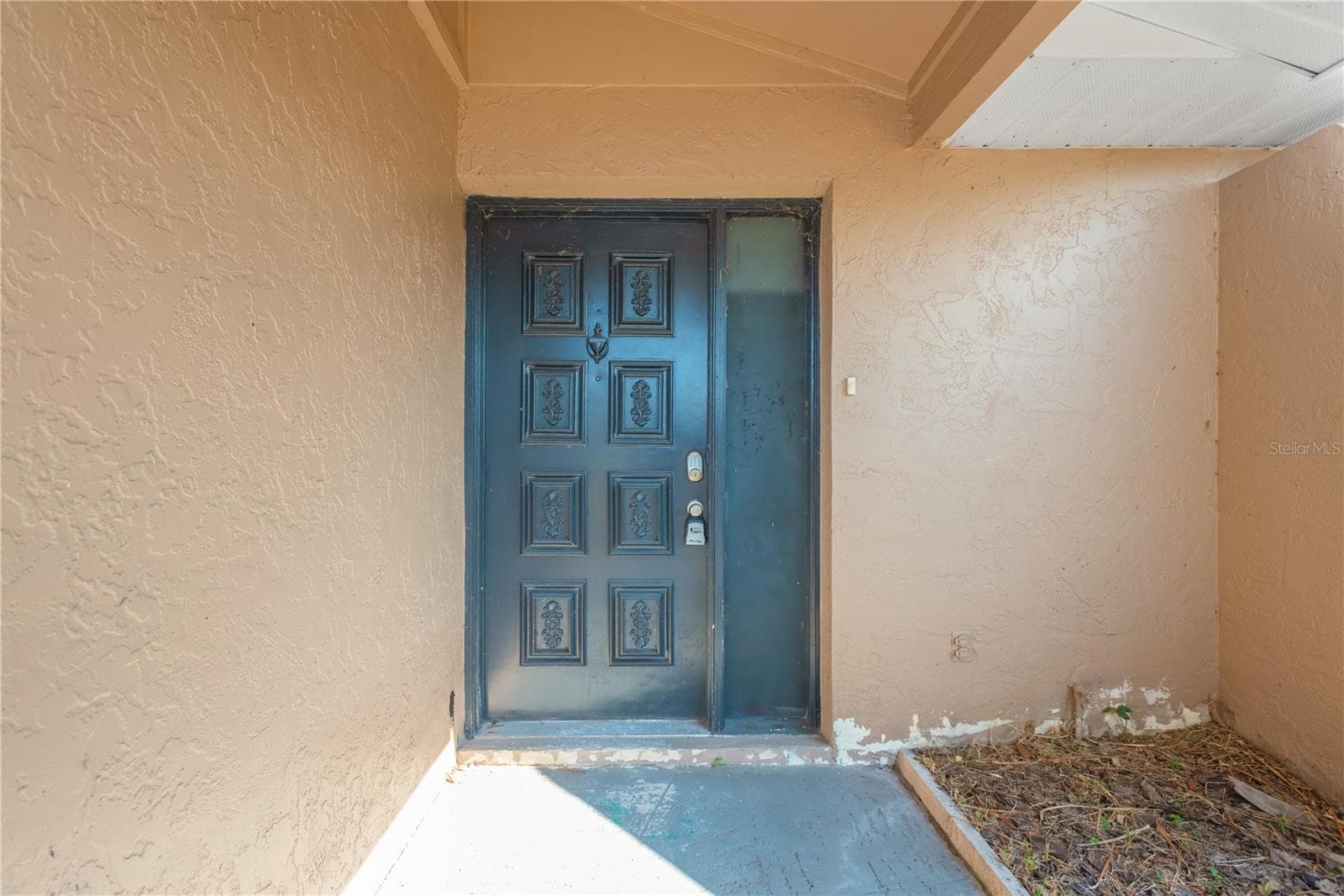 6507 Manila Palm Way photo 5