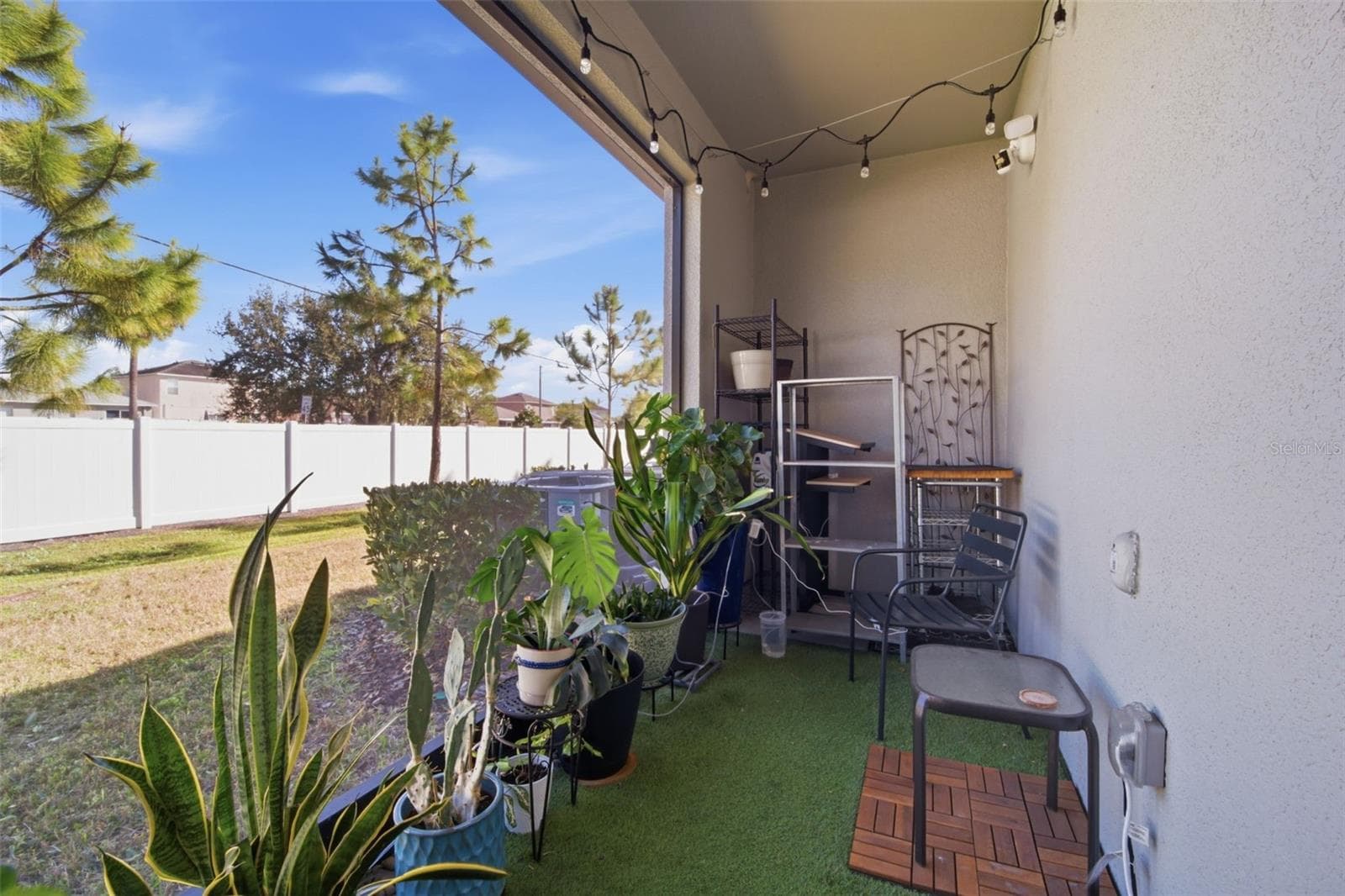 4459 Globe Thistle Dr photo 4