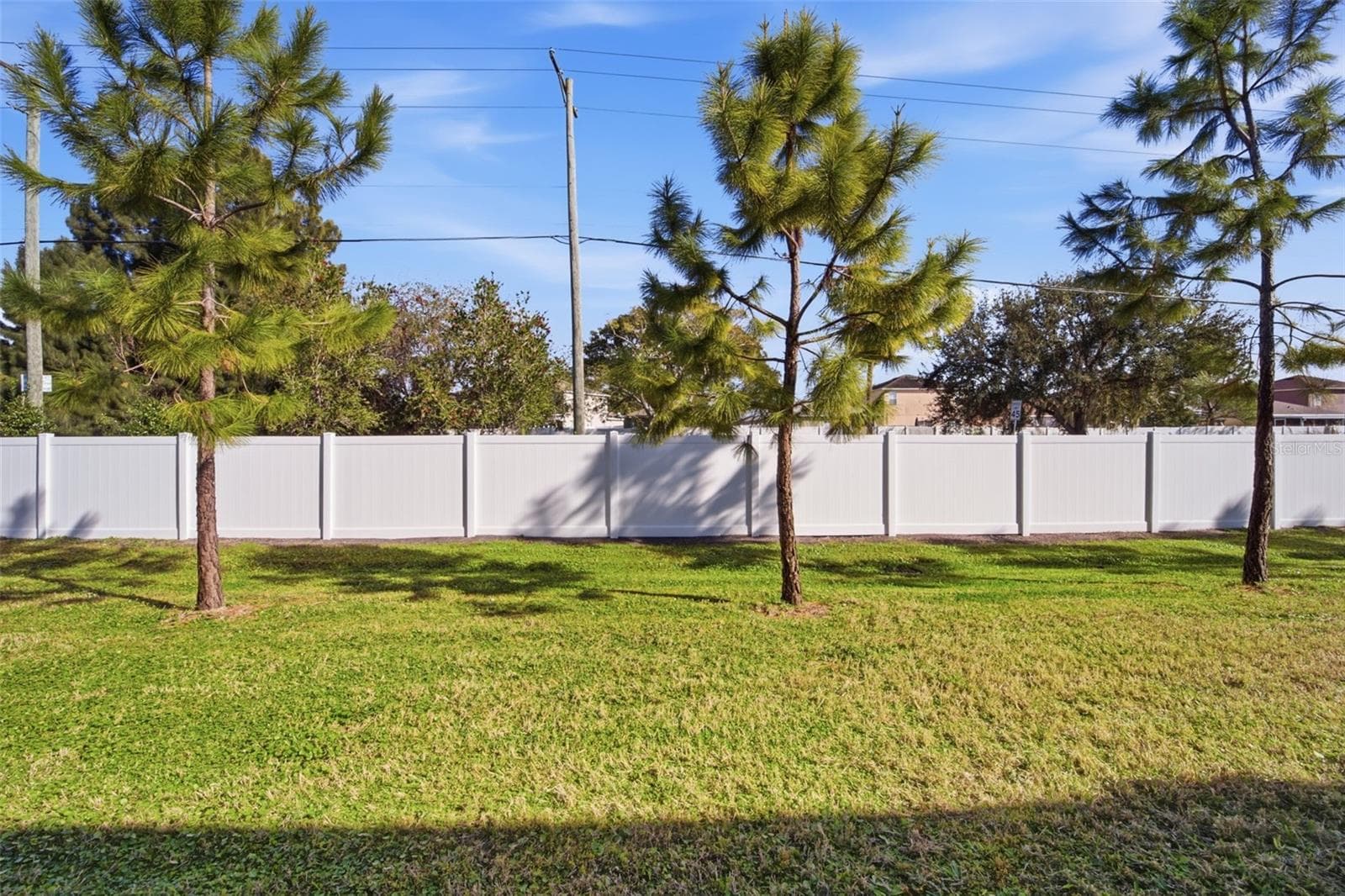 4459 Globe Thistle Dr photo 5